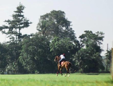 Wisata Sambil Olahraga di Pacuan Kuda Tapos - tempat wisata di Depok, 1. Tempat Wisata Alam Kampung 99 Pepohonan di Depok, 2. Tempat Wisata Religi Masjid kubah emas di Depok, 3. Taman Wisata Keluarga Pasir Putih Depok, 4. Objek Wisata Anak dan Keluarga Godong Ijo Depok, 5. Tempat Wisata Seru Fantasi Water Park di Depok, 6. Kolam Renang / Water Park Ceria Depok, 7. Kolam Renang Tirta Sari Depok Timur, 8. Wahana Liburan Seru Kolam Renang Paragon Depok, 9. Bermain ke Kolam Renang Gema Pesona Depok, 10. Objek Wisata Seru Pondok Zidane Depok, 11. Tempat Wisata Taman Bunga Wiladatika Depok, 12. Liburan Asyik ke Agrowisata Belimbing Dewa Depok, 13. Liburan ke Hutan Kota Depok, 14. Tempat Wisata Studio Alam TVRI Depok, 15. Liburan Seru ke D’Kandang Amazing Farm Depok, 16. Liburan ke Setu Pengasinan Depok, 17. Depok Plaza, 18. Detos/Depok Town Square | Pusat belanja, 19. Cagar Alam Kota Depok, 20. Situ Besar depok (Situ lio), 21. Situ Cilangkap, 22. Situ Citayam Kota Depok, 23. Liburan Seru ke Situ Pladen Beji, 24. Liburan ke Situ Asih Pulo Pancoran Emas Depok, 25. Wisata Sambil Olahraga di Pacuan Kuda Tapos, 26. Liburan Menantang Arung Jeram di Sungai Ciliwung, 27. Rumah Kabeda, 28. Telaga Arwana, 29. Kampung 3D Depok, 30. Taman Wisata Herbal Insani, 31. Taman Pemuda Pratama, 32. Sukatani Park, 33. Taman Wisata Permata Buana, 34. Taman Merdeka, 35. Hutan Kota UI, 36. Danau Kenanga UI, 37. Rumah Keramik F Widayanto, 38. Saung Talaga, 39. Taman Mekarsari Depok, 40. Kolam Renang Griya Tugu Asri, 41. Setu Bojongsari, 42. Setu Cilodong, 43. Situ Jatijajar, 44. Situ Rawa Besar, 45. Green Lake View Waterpark, 46. Arina Waterpark, 47. Taman Lembah Mawar, 48. Taman Lembah Gurame