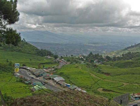 Wisata Puncak Rindu Alam Cianjur
