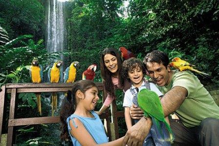Jurong Bird Park Singapore, 1. Merlion Park Singapore, 2. Wisata Orchard Road di Singapore, 3. Destinasi Wisata Sentosa Island di Singapore, 4. Tempat Wisata Belanja di Singapore – Bugis Street, 5. Universal Studios Singapore, 6. Objek Wisata Singapore River, 7. Art Science Museum Singapura, 8. Objek Wisata Helix Bridge di Singapura, 9. Obyek Wisata Marina Bay Sands di Singapura, 10. Tempat Nongkrong Henderson Waves Bridge di Singapore, 11. Wahana Bermain Singapore Flyer, 12. Objek Wisata Gardens by The Bay di Singapore, 13. Wahana Liburan Seru Esplanade di Singapore, 14. Wisata Raffles Landing Site di Singapura, 15. Tempat Wisata Unik Haw Par Villa di Singapore, 16. Wisata Arab Street Singapore, 17. Liburan ke Little India di Singapore, 18. Berkunjung ke Chinatown di Singapore, 19. Liburan ke Singapore Botanical Gardens, 20. Tempat Wisata Keluarga – Singapore Zoo, 21. Jurong Bird Park Singapore, 22. St. Andrew’s Cathedral Singapura, 23. Wisata Religi Masjid Sultan di Singapore, 24. Tempat Wisata Seru Singapore Flight Experience, 25. Objek Wisata Terbaru Madame Tussauds di Singapore, 26. Wahana Liburan Keluarga Marine life park di Singapore, 27. Wahana Bermain Keluarga Wild Wild Wet di Singapore, 28. Objek Wisata Wisata Big splash di Singapore, 29. Singapore Discovery Centre (SDC), 30. Wisata Belanja Mustafa Centre Singapura, 31. Safari Night Singapore, 32. Liburan Seru River Safari Wildpark Singapore, 33. National Museum of Singapore, 34. Tempat Wisata Kuliner di Singapore – Katong, 35. East Coast Park Singapore