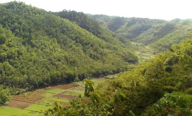 Bengawan Solo Purba via Jogja Super, 1. Pantai Pok Tunggal, 2. Pantai Siung, 3. Pantai Indrayanti (Pantai Pulang Sawal), 4. Pantai Baron, 5. Pantai Jogan, 6. Pantai Sundak, 7. Pantai Krakal, 8. Goa Gelatik, 9. Air Terjun Sri Gethuk, 10. Gua Seropan, 11. Gua Jomblang, 12. Cave Tubing Kalisuci, 13. Gunung Nglanggeran, 14. Pantai Sadranan, 15. Bukit Bintang, 16. Pantai Ngobaran, 17. Pantai Gesing, 18. Bukit Kosakora, 19. Pantai Wedi Ombo, 20. Pantai Slili, 21. Pantai Timang, 22. Pantai Jungwok, 23. Rafting di Kali Oyo Gunungkidul, 24. Pantai Seruni, 25. Pantai Drini, 26. Pantai Sepanjang, 27. Goa Bribin, 28. Goa Kalisuci Gunung Kidul, 29. Alun-alun Wonosari (Alun-alun Pemda), 30. Pantai Kukup, Desa Kemadang, Kecamatan Tanjungsari, 31. Embung Batara Sriten, 32. Pantai Sadeng, 33. Goa Cokro, 34. Goa Lowo, 35. Pantai Ngrenehan, 36. Gua Maria Tritis, 37. Desa Wisata Jelok, 38. Desa Wisata Nglanggeran, 39. Goa Jomblang – Grubug, 40. Goa Paesan, 41. Gunung Patuk atau Bukit Hargodumilah, 42. Gunung Gambar, 43. Telaga Jonge, 44. Dam Beton Indah dan Bendungan Simo, 45. Rest Area Bunder, 46. Goa Cerme, 47. Goa Langse, 48. Pantai Ngandong, 49. Gunung Kendil, 50. Goa Cokakan, 51. Gunung Api Purba Nglanggeran, 52. Bengawan Solo Purba (Telaga Suling), 53. Desa Wisata Umbulrejo, 54. Kawasan Karst Pegunungan Sewu, 55. Telaga Kemuning, 56. Hutan Wanagama, 57. Situs Gambirowati atau Pesanggrahan Gambirowati, 58. Goa Jlamprong, Goa Gesing, Goa Sinden, 59. Desa Wisata Bejiharjo, 60. Desa Wisata Bleberan, 61. Desa Wisata Mojo, 62. Desa Wisata Bobung, 63. Desa Wisata Wonosadi, 64. Desa Wisata Garotan, 65. Lembah Karst Mulo, 66. Hutan Bunder, 67. Hutan Wonosadi, 68. Situs Megalitik Sokoliman, 69. Situs Gunungbang, 70. Pertapaan Kembang Lampir, 71. Pantai Nguyahan, 72. Goa Rancang Kencono