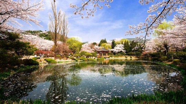 Bomun Pavilion, Gyeongju, 1. Istana Gyeongbok (Gyeongbokgung) – Kyŏngbokkung, 2. Lotte World, 3. Pulau Jeju, 4. Bomun Pavilion, Gyeongju, 5. Yang Dong Traditional Village, 6. Seomjin River Train Village, 7. Seongsan Sunrise Peak, 8. Stasiun Kyeong-Wha, Jinhae, 9. Taepyeong Salt Farm, 10. Boseong Green Tea Field, 11. Monumen Peringatan Perang Korea, 12. Teater Nanta di MyeongDong, 13. Taman Nasional Bukhansan, 14. Seoul Arts Center (Pusat Kesenian Seoul), 15. Istana Changdeok (Changdeokgung), 16. Uleung Island Seaside Road, 17. Tempat Wisata Belanja Myeongdong, 18. Bukchon Village, 19. Namsan Seoul Tower ( N Seoul Tower), 20. National Folk Museum of Korea (Museum Nasional Rakyat Korea), 21. Olympic Park, 22. Incheon, 23. Garden of Morning Calm, 24. Taebaek Snow Festival, 25. Gunung Naejangsan, 26. Korean Demilitarized Zone atau DMZ, 27. Namsangol Hanok Village, 28. Pulau Nami, 29. Everland Theme Park, 30. Cheonggyecheon River, 31. Gangnam District, 32. Hongdae, 33. Gamcheon culture village, 34. Pulau Udo, 35. National Gwacheon Science Museum