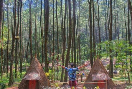 Camping Seru Di Sekipan, Kalisoro, Tawangmangu, 1. Wisata Tawangmangu Grojogan Sewu, 2. Air Terjun Jumog, 3. Wisata Tawangmangu Agrowisata Sondokoro, 4. Candi Cetho, 5. Wisata Tawangmangu Gunung Lawu, 6. Wisata Tawangmangu Desa Nglurah, 7. Wisata Tawangmangu Air Terjun Pringgodani, 8. Wisata Tawangmangu – Outbound , 9. Flying Fox di Objek Wisata Tawangmangu, 10. Wisata Pemandian Air Hangat Cumpleng, 11. Camping Seru di Sekipan, Kalisoro, Tawangmangu, 12. Wisata Tawangmangu Situs Purbakala Menggung , 13. Wisata Kuliner di Tawangmangu Sate Kelinci, 14. Memetik Strawberry di Tawangmangu, 15. Obyek Wisata New Taman Balemkambang Tawangmangu, 16. Telaga Sarangan, 17. Air Terjun Parang Ijo, 18. Kebun Teh Kemuning, 19. Wisata Bukit Sekipan, 20. Rumah Atsiri, 21. Lawu Park, 22. River Hill Resort, 23. Kedung Sriti, 24. Air Terjun Jurang Sundo Tawangmangu, 25. Puncak Gunung Gamping, 26. Gunung Mongkrang, 27. Sakura Hills