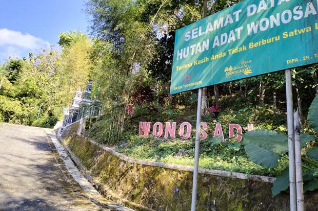 Desa Wisata Wonosadi via iNews, 1. Pantai Pok Tunggal, 2. Pantai Siung, 3. Pantai Indrayanti (Pantai Pulang Sawal), 4. Pantai Baron, 5. Pantai Jogan, 6. Pantai Sundak, 7. Pantai Krakal, 8. Goa Gelatik, 9. Air Terjun Sri Gethuk, 10. Gua Seropan, 11. Gua Jomblang, 12. Cave Tubing Kalisuci, 13. Gunung Nglanggeran, 14. Pantai Sadranan, 15. Bukit Bintang, 16. Pantai Ngobaran, 17. Pantai Gesing, 18. Bukit Kosakora, 19. Pantai Wedi Ombo, 20. Pantai Slili, 21. Pantai Timang, 22. Pantai Jungwok, 23. Rafting di Kali Oyo Gunungkidul, 24. Pantai Seruni, 25. Pantai Drini, 26. Pantai Sepanjang, 27. Goa Bribin, 28. Goa Kalisuci Gunung Kidul, 29. Alun-alun Wonosari (Alun-alun Pemda), 30. Pantai Kukup, Desa Kemadang, Kecamatan Tanjungsari, 31. Embung Batara Sriten, 32. Pantai Sadeng, 33. Goa Cokro, 34. Goa Lowo, 35. Pantai Ngrenehan, 36. Gua Maria Tritis, 37. Desa Wisata Jelok, 38. Desa Wisata Nglanggeran, 39. Goa Jomblang – Grubug, 40. Goa Paesan, 41. Gunung Patuk atau Bukit Hargodumilah, 42. Gunung Gambar, 43. Telaga Jonge, 44. Dam Beton Indah dan Bendungan Simo, 45. Rest Area Bunder, 46. Goa Cerme, 47. Goa Langse, 48. Pantai Ngandong, 49. Gunung Kendil, 50. Goa Cokakan, 51. Gunung Api Purba Nglanggeran, 52. Bengawan Solo Purba (Telaga Suling), 53. Desa Wisata Umbulrejo, 54. Kawasan Karst Pegunungan Sewu, 55. Telaga Kemuning, 56. Hutan Wanagama, 57. Situs Gambirowati atau Pesanggrahan Gambirowati, 58. Goa Jlamprong, Goa Gesing, Goa Sinden, 59. Desa Wisata Bejiharjo, 60. Desa Wisata Bleberan, 61. Desa Wisata Mojo, 62. Desa Wisata Bobung, 63. Desa Wisata Wonosadi, 64. Desa Wisata Garotan, 65. Lembah Karst Mulo, 66. Hutan Bunder, 67. Hutan Wonosadi, 68. Situs Megalitik Sokoliman, 69. Situs Gunungbang, 70. Pertapaan Kembang Lampir, 71. Pantai Nguyahan, 72. Goa Rancang Kencono