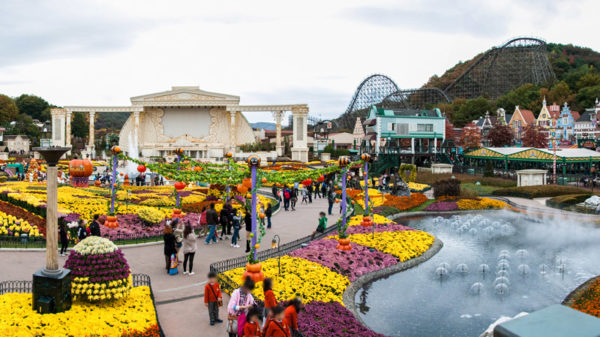 Everland Theme Park, 1. Istana Gyeongbok (Gyeongbokgung) – Kyŏngbokkung, 2. Lotte World, 3. Pulau Jeju, 4. Bomun Pavilion, Gyeongju, 5. Yang Dong Traditional Village, 6. Seomjin River Train Village, 7. Seongsan Sunrise Peak, 8. Stasiun Kyeong-Wha, Jinhae, 9. Taepyeong Salt Farm, 10. Boseong Green Tea Field, 11. Monumen Peringatan Perang Korea, 12. Teater Nanta di MyeongDong, 13. Taman Nasional Bukhansan, 14. Seoul Arts Center (Pusat Kesenian Seoul), 15. Istana Changdeok (Changdeokgung), 16. Uleung Island Seaside Road, 17. Tempat Wisata Belanja Myeongdong, 18. Bukchon Village, 19. Namsan Seoul Tower ( N Seoul Tower), 20. National Folk Museum of Korea (Museum Nasional Rakyat Korea), 21. Olympic Park, 22. Incheon, 23. Garden of Morning Calm, 24. Taebaek Snow Festival, 25. Gunung Naejangsan, 26. Korean Demilitarized Zone atau DMZ, 27. Namsangol Hanok Village, 28. Pulau Nami, 29. Everland Theme Park, 30. Cheonggyecheon River, 31. Gangnam District, 32. Hongdae, 33. Gamcheon culture village, 34. Pulau Udo, 35. National Gwacheon Science Museum