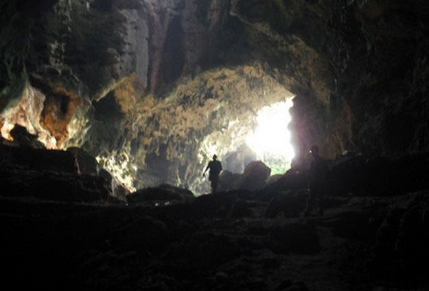 Goa Lowo, 1. Pantai Pok Tunggal, 2. Pantai Siung, 3. Pantai Indrayanti (Pantai Pulang Sawal), 4. Pantai Baron, 5. Pantai Jogan, 6. Pantai Sundak, 7. Pantai Krakal, 8. Goa Gelatik, 9. Air Terjun Sri Gethuk, 10. Gua Seropan, 11. Gua Jomblang, 12. Cave Tubing Kalisuci, 13. Gunung Nglanggeran, 14. Pantai Sadranan, 15. Bukit Bintang, 16. Pantai Ngobaran, 17. Pantai Gesing, 18. Bukit Kosakora, 19. Pantai Wedi Ombo, 20. Pantai Slili, 21. Pantai Timang, 22. Pantai Jungwok, 23. Rafting di Kali Oyo Gunungkidul, 24. Pantai Seruni, 25. Pantai Drini, 26. Pantai Sepanjang, 27. Goa Bribin, 28. Goa Kalisuci Gunung Kidul, 29. Alun-alun Wonosari (Alun-alun Pemda), 30. Pantai Kukup, Desa Kemadang, Kecamatan Tanjungsari, 31. Embung Batara Sriten, 32. Pantai Sadeng, 33. Goa Cokro, 34. Goa Lowo, 35. Pantai Ngrenehan, 36. Gua Maria Tritis, 37. Desa Wisata Jelok, 38. Desa Wisata Nglanggeran, 39. Goa Jomblang – Grubug, 40. Goa Paesan, 41. Gunung Patuk atau Bukit Hargodumilah, 42. Gunung Gambar, 43. Telaga Jonge, 44. Dam Beton Indah dan Bendungan Simo, 45. Rest Area Bunder, 46. Goa Cerme, 47. Goa Langse, 48. Pantai Ngandong, 49. Gunung Kendil, 50. Goa Cokakan, 51. Gunung Api Purba Nglanggeran, 52. Bengawan Solo Purba (Telaga Suling), 53. Desa Wisata Umbulrejo, 54. Kawasan Karst Pegunungan Sewu, 55. Telaga Kemuning, 56. Hutan Wanagama, 57. Situs Gambirowati atau Pesanggrahan Gambirowati, 58. Goa Jlamprong, Goa Gesing, Goa Sinden, 59. Desa Wisata Bejiharjo, 60. Desa Wisata Bleberan, 61. Desa Wisata Mojo, 62. Desa Wisata Bobung, 63. Desa Wisata Wonosadi, 64. Desa Wisata Garotan, 65. Lembah Karst Mulo, 66. Hutan Bunder, 67. Hutan Wonosadi, 68. Situs Megalitik Sokoliman, 69. Situs Gunungbang, 70. Pertapaan Kembang Lampir, 71. Pantai Nguyahan, 72. Goa Rancang Kencono