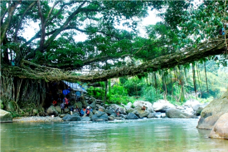 Jembatan Akar Pesisir Selatan, 1. Jam Gadang di Bukit Tinggi, 2. Istana Baso Pagaruyung, 3. Pantai Carocok Painan, 4. Lobang Jepang, 5. Pantai Padang ‘Nan Rancak Bana’ , 6. Pantai Gandoriah Pariaman, 7. Puncak Lawang Maninjau, 8. Lembah Anai , 9. Museum Adityawarman, 10. Pantai Muaro Padang & Jembatan Siti Nurbaya, 11. Pantai Kata Pariaman, 12. Benteng Fort de Kock, 13. Ngarai Sianok, 14. Pantai Cermin, 15. Wisata Pantai Caroline/Carolina, 16. Air Panas Bukik Kili, 17. Danau Maninjau, 18. Pemandian Lubuk Minturun, 19. Lembah Harau , 20. Puncak Anai (Pemandian dan Camping Ground), 21. Pesona Kepulauan Mentawai , 22. Janjang Seribu Great Wall of Koto Gadang, 23. Danau Singkarak, 24. Danau Diateh dan Danau Dibawah ( Danau Kembar ), 25. Pantai Aie Manih si Malin Kundang, 26. Pulau Cubadak, 27. Kawasan Wisata Mandeh, 28. Pulau Sikuai, 29. Tirta Alami, 30. Air Terjun Nyarai, 31. Pemandian Alam Sako Tapan, 32. Lubuak Bonta, 33. Lubuak Mato Kuciang, 34. Pemandian Alami Batang Tabik, 35. Lubuak Paraku, 36. Air Terjun Timbulun, 37. Muaro Binguang, 38. Ngalau Indah , 39. Jembatan Akar Pesisir Selatan, 40. Pulau Pasumpahan , 41. Pantai Nirwana, 42. Air Terjun Tigo Tingkek, 43. Air Terjun Sarasah Banyak Gariang, 44. Panorama Sitinjau Lauik, 45. Tapian Puti, 46. Lubuak Rantiang, 47. Sirukam Dairy Farm, 48. Puncak Gagoan, 49. Rumah Pohon Laing Park Solok, 50. Puncak Gobah, 51. Air Terjun Kapalo Banda Koto Hilalang, 52. Danau Talang – Solok, 53. Danau Dieteh dan Danau Dibawah, 54. Kebun Teh Alahan Panjang, Solok, 55. Jembatan Kelok Sembilan, 56. Air Terjun Lubuak Bulan, 57. Padang Mengatas, 58. Pulau Angso Duo Pariaman, 59. Pantai Tiram, 60. Puncak Langkisau