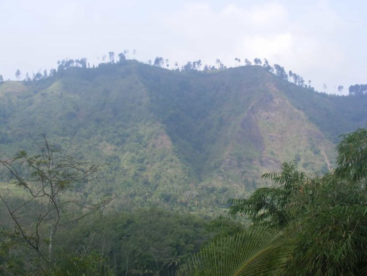 Pemandangan Di Bukit Siloreng Indah, Lokasi Tempat Wisata Eksotis Di Wonosobo, Kuliner Khas Wonosobo, Penginapan Murah Di Kabupaten Wonososbo, Tarif Masuk Ke Tempat Wisata Di Daerah Wonosobo, Rekomendasi Tempat Wisata Wonosobo
