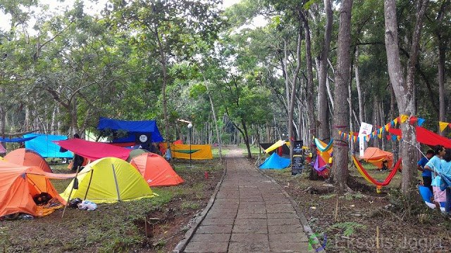 Rest Area Bunder via Eksotisjogja, 1. Pantai Pok Tunggal, 2. Pantai Siung, 3. Pantai Indrayanti (Pantai Pulang Sawal), 4. Pantai Baron, 5. Pantai Jogan, 6. Pantai Sundak, 7. Pantai Krakal, 8. Goa Gelatik, 9. Air Terjun Sri Gethuk, 10. Gua Seropan, 11. Gua Jomblang, 12. Cave Tubing Kalisuci, 13. Gunung Nglanggeran, 14. Pantai Sadranan, 15. Bukit Bintang, 16. Pantai Ngobaran, 17. Pantai Gesing, 18. Bukit Kosakora, 19. Pantai Wedi Ombo, 20. Pantai Slili, 21. Pantai Timang, 22. Pantai Jungwok, 23. Rafting di Kali Oyo Gunungkidul, 24. Pantai Seruni, 25. Pantai Drini, 26. Pantai Sepanjang, 27. Goa Bribin, 28. Goa Kalisuci Gunung Kidul, 29. Alun-alun Wonosari (Alun-alun Pemda), 30. Pantai Kukup, Desa Kemadang, Kecamatan Tanjungsari, 31. Embung Batara Sriten, 32. Pantai Sadeng, 33. Goa Cokro, 34. Goa Lowo, 35. Pantai Ngrenehan, 36. Gua Maria Tritis, 37. Desa Wisata Jelok, 38. Desa Wisata Nglanggeran, 39. Goa Jomblang – Grubug, 40. Goa Paesan, 41. Gunung Patuk atau Bukit Hargodumilah, 42. Gunung Gambar, 43. Telaga Jonge, 44. Dam Beton Indah dan Bendungan Simo, 45. Rest Area Bunder, 46. Goa Cerme, 47. Goa Langse, 48. Pantai Ngandong, 49. Gunung Kendil, 50. Goa Cokakan, 51. Gunung Api Purba Nglanggeran, 52. Bengawan Solo Purba (Telaga Suling), 53. Desa Wisata Umbulrejo, 54. Kawasan Karst Pegunungan Sewu, 55. Telaga Kemuning, 56. Hutan Wanagama, 57. Situs Gambirowati atau Pesanggrahan Gambirowati, 58. Goa Jlamprong, Goa Gesing, Goa Sinden, 59. Desa Wisata Bejiharjo, 60. Desa Wisata Bleberan, 61. Desa Wisata Mojo, 62. Desa Wisata Bobung, 63. Desa Wisata Wonosadi, 64. Desa Wisata Garotan, 65. Lembah Karst Mulo, 66. Hutan Bunder, 67. Hutan Wonosadi, 68. Situs Megalitik Sokoliman, 69. Situs Gunungbang, 70. Pertapaan Kembang Lampir, 71. Pantai Nguyahan, 72. Goa Rancang Kencono