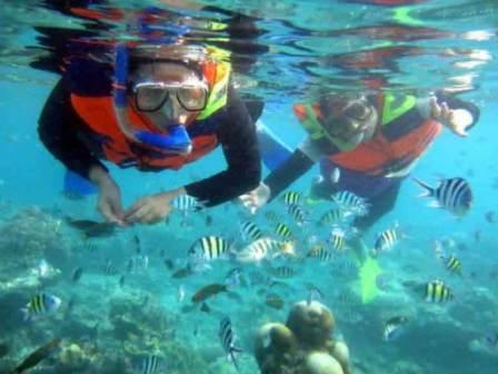 Snorkeling Tanjung Benoa, 1. Flying Board, 2. Wakerboarding, 3. Parasailing, 4. Sea Walker, 5. Snorkeling, 6. Banana Boat, 7. Flying Fish, 8. Rolling Donut, 10. Scuba Diving, 11. Glass Bottom Boat dan Pulau Penyu, 12. Jet Ski Tanjung Benoa, 13. Berjemur, 14. Pasar Malam Tanjung Benoa, 15. Situs Keagamaan
