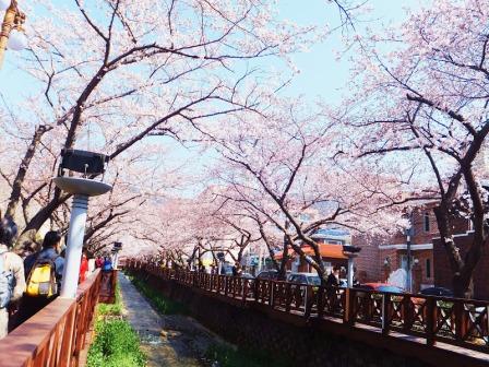 Stasiun Kyeong-Wha, Jinhae, 1. Istana Gyeongbok (Gyeongbokgung) – Kyŏngbokkung, 2. Lotte World, 3. Pulau Jeju, 4. Bomun Pavilion, Gyeongju, 5. Yang Dong Traditional Village, 6. Seomjin River Train Village, 7. Seongsan Sunrise Peak, 8. Stasiun Kyeong-Wha, Jinhae, 9. Taepyeong Salt Farm, 10. Boseong Green Tea Field, 11. Monumen Peringatan Perang Korea, 12. Teater Nanta di MyeongDong, 13. Taman Nasional Bukhansan, 14. Seoul Arts Center (Pusat Kesenian Seoul), 15. Istana Changdeok (Changdeokgung), 16. Uleung Island Seaside Road, 17. Tempat Wisata Belanja Myeongdong, 18. Bukchon Village, 19. Namsan Seoul Tower ( N Seoul Tower), 20. National Folk Museum of Korea (Museum Nasional Rakyat Korea), 21. Olympic Park, 22. Incheon, 23. Garden of Morning Calm, 24. Taebaek Snow Festival, 25. Gunung Naejangsan, 26. Korean Demilitarized Zone atau DMZ, 27. Namsangol Hanok Village, 28. Pulau Nami, 29. Everland Theme Park, 30. Cheonggyecheon River, 31. Gangnam District, 32. Hongdae, 33. Gamcheon culture village, 34. Pulau Udo, 35. National Gwacheon Science Museum