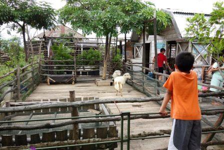 Tempat Wisata Anak Unik Kebun Binatang Mini di Atap Sebuah Mall di Bandung, 1. Phantasia Barbie Gallery di the Balcony Restaurant, 2. Park Hopping Bandung, 3. Wisata Alam di Dusun Bambu Family Leisure Park, 4. Tempat Wisata Anak Paling Favorit Kampung Gajah Wonderland di Bandung (Tutup), 5. Kampung Dago Pojok, 6. Sky Level PVJ, Kebun Binatang Mini di Atap Sebuah Mall di Bandung, 7. Tempat Wisata Edukasi Anak di Padepokan Dayang Sumbi Bandung, 8. Tempat Wisata Alam di Ranca Upas, Ciwidey Bandung, 9. Tempat Wisata Anak Terbaru Bandung Carnival Land, 10. Jendela Alam Farm, 11. Nanny’s Pavillon – Kafe Unik dan Menarik, 12. Objek Wisata Anak di Bandung – Kampung Batu Malakasari, 13. Tempat Wisata Anak di Bandung Paling Populer Ciwidey Valley Waterpark Resort, 14. The Farm House – Tempat Wisata Anak Berupa Rumah Hobbit, 15. Saung Angklung Udjo – Menumbuhkan Kecintaan Terhadap Seni, 16. Ajarkan Anak Membatik di Rumah Batik Komar, 17. Bandung Science Centre – Tempat Wisata Anak di Bandung, 18. Crayon’s Craft &amp; Co, 19. Komunitas Hong – Kembali Ke Masa Anak di Tahun 90an, 20. Liburan Anak Seru di SPICE Camp (Spirit Camp Educity), 21. Maya Hirai School of Origami, 22. Gang Sereh Tempat Belajar Membuat Layangan, 23. Cihampelas Walk, 24. Miss Bee Providore, 25. Kebun Stroberi Ciwidey, 26. Taman Lalu Lintas Ade Irma Suryani, 27. Trans Studio Bandung, 28. Kebun Binatang Bandung, 29. Karang Setra Waterpark, 30. Taman Bermain MIM, 31. Taman Kupu Cihanjuang, 32. De’Ranch Bandung, 33. Kebun Bunga Cihideung, 34. Pemandian Air Panas Ciwalini, 35. Teras Cikapundung Riverspot, 36. Dago Dream Park, 37. Floating Market Lembang, 38. De Ranch, 40. Museum Geologi, 41. Farmhouse Lembang, 42. Glamping Lakeside Rancabali, 43. Taman Miniatur Kereta Api, 44. Taman Burung, Bird and Bromelia Pavilion, 45. Fairy Garden