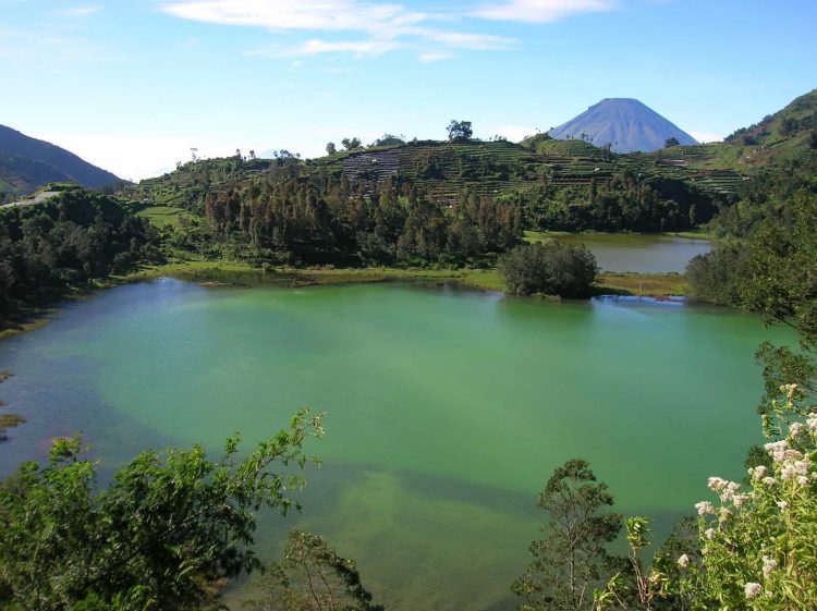 Wisata Telaga Pengilon, Lokasi Tempat Wisata Eksotis Di Wonosobo, Kuliner Khas Wonosobo, Penginapan Murah Di Kabupaten Wonososbo, Tarif Masuk Ke Tempat Wisata Di Daerah Wonosobo, Rekomendasi Tempat Wisata Wonosobo