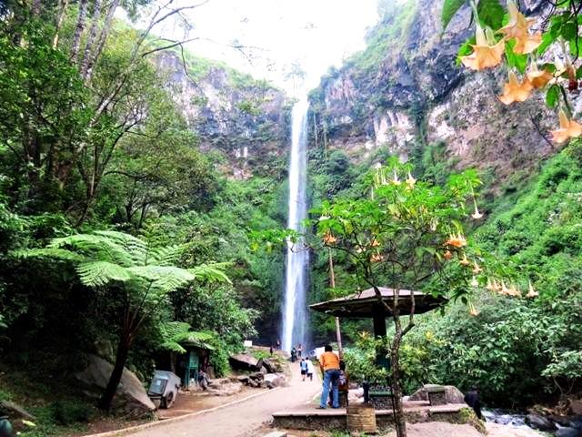 Air Terjun Coban Rondo, 1. Wisata Pantai Batu Bengkung Malang, 2. Wisata Batu Night Spectacular (BNS) Malang, 3. Wisata Jatim Park 1, 4. Wahana Wisata Jatim Park 2 Malang, 5. Alun-alun kota Malang, 6. Wisata Petik Apel Malang, 7. Masjid Tiban Malang, 8. Wisata Alam Air Terjun Coban Rondo Malang, 9. Wahana Wisata Eco Green Park Malang, 10. Wisata Museum Angkut Malang, 11. Wisata Pulau Sempu Malang, 12. Wisata Pantai Balekambang Malang, 13. Objek Wisata Bendungan Karangkates Malang, 14. Wahana Wisata Wendit Water Park Malang, 15. Tempat wisata Alam Selecta Malang, 16. Objek Wisata Agrowisata Wonosari Malang, 17. Wahana Wisata Taman Rekreasi Sengkaling Malang, 18. Wisata Kuliner dan Edukasi di Inggil Museum Resto Malang, 19. Wisata Alam Menikmati Kecantikan Alam Ala Omah kayu Malang, 20. Objek Wisata Uji Adrenalin Wisata Paralayang Malang, 21. Wisata Alam 7 Air Terjun Sumber Pitu Malang, 22. Berwisata Menikmati Keperawanan Pantai Sipelot Malang, 23. Tempat Wisata Edukasi Museum Kesehatan Jiwa Malang, 24. Wisata Alam Sumber Air Krabyakan Malang, 25. Wisata Pantai Ngliyep nan Indah di Malang, 26. Wisata Sejarah di Museum D’Topeng Malang, 27. Objek Wisata Panen Madu di Agro Tawon Rimba Raya Malang, 28. Wisata Sejarah Gerbong Maut di Museum Brawijaya Malang, 29. Wisata Edukasi Museum Malang Tempo Doeloe, 30. Objek Wisata Pemandian Air Panas Cangar Batu Malang, 31. Objek Wisata Secret zoo Kebun Binatang Batu Malang, 32. Tempat Wisata Kuliner Es Krim Legendaris di Toko Oen Malang, 33. Mata Air Sumber Sirah, 34. Coban Nirwana atau Coban Mbok Karimah, 35. Pemandian Kalireco Lawang, 36. Teluk Bidadari, 37. Banyu Anjlok, 38. Wisata Tubing Wringinanom, 39. Coban Tundo, 40. Pantai Kedung Celeng, 41. Air Terjun Coban Pelangi, 42. Gua Lo Bangi, 43. Ndayung Rafting, 44. Waduk Selorejo Malang, 45. Pantai Tiga Warna Malang, 46. Teluk Kletekan Malang, 47. Pantai Lenggoksono Malang, 48. Pantai Bajul Mati Malang, 49. Jawa Timur Park 3, 50. Kampung Warna Warni Jodipan, 51. Candi Badut, 51. Sumber Jenon, 52. Wisata Pujon Kidul, 53. Pantai Sendang Biru, 54. Hawai Waterpark, 55. Pura Luhur Giri Arjuno, 56. Museum Tubuh, 57. Kusuma Waterpark, 58. Candi Songgoriti, 59. Taman Singha Merjosari, 60. Taman Kelinci, 61. Candi Singosari, 62. Pura Luhur Giri Arjuno, 63. Masjid Agung Malang, 64. Masjid Annur Batu, 65. Coban Rais, 66. River Tubing di Sungai Amprong, 67. Sumber Maron, 68. Coban Jahe, 69. Coban Talun, 70. Coban Parang Tejo, 71. Coban Gintung, 72. Coban Sewu, 73. Coban Putri, 74. Rafting Kaliwatu, 75. Sumber Taman, 76. Bukit Bulu, 77. De Tjangkul Batu, 78. Taman Labirin Coban Rondo, 79. Bukit Binglis, 80. Bukit Cinta, 81. Bukit Bintang, 82. Bukit Teletubbies, 83. Bukit Asmoro, 84. Bukit Budug Asu, 85. Pantai Banyu Meneng, 86. Pantai Selok, 87. Pantai Sendiki, 88. Pantai Goa Cina, 89. Pantai Sendang Biru, 90. Pantai Watu Leter, 91. Pantai Wedi Awu, 92. Pantai Jonggring Saloko, 93. Pantai Wedi Putih, 94. Pantai Bangsong, 95. Pantai Teluk Asmoro, 96. Pantai Telok, 97. Pantai Parang Dowo, 98. Pantai Jolangkung, 99. Pantai Tomen