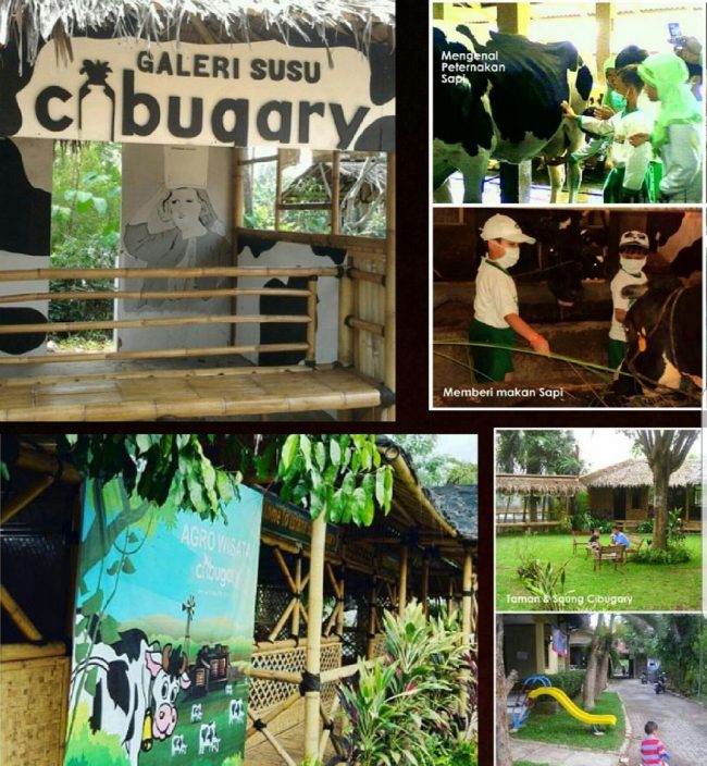 Cibubur Garden Diary, 1. Monumen Nasional (Tugu Monas), 2. Taman Mini Indonesia Indah (TMII), 3. Tebet Eco Park, 4. Taman Impian Jaya Ancol, 5. Dufan (Dunia Fantasi), 6. Taman Margasatwa Ragunan, 7. Pulau Tidung, 8. Ocean Ecopark, 9. Atlantis Water Adventure, 10. Pulau Bidadari, 11. Tribeca Park, 12. Pasar Seni, 13. Jembatan Kota Intan, 14. Museum Sejarah Jakarta, 15. Museum Bank Indonesia, 16. Ice Skating di Sky Rink, 17. KidZania Jakarta, 18. Kota Tua Jakarta, 19. Grand Indonesia Mall, 20. Masjid Istiqlal, 21. Gereja Katedral Jakarta, 22. Pasar Taman Puring, 23. Taman Suropati Jakarta, 24. Museum Nasional, 25. Pasar Tanah Abang, 26. Pecinan Glodok Jakarta, 27. Sea World Indonesia, 28. Setu Babakan Jakarta, 29. Wisata Mangrove Jakarta, 30. Taman Ayodia, 31. Taman Hutan Kota Penjaringan, 32. Cibugary Farm – Wisata Edukasi Cibugary, 33. Hauwke’s Auto Gallery Kayak Museum Angkut di Malang, 34. Pondok Indah Water Park, 35. The Escape Hunt (Tutup Permanen), 36. Kemang Food Festival (Tutup), 37. Taman Kepulauan Seribu, 38. Wisata Pendidikan Pinisi, 39. Flight Experience Gandaria (Tutup Permanen), 40. Tamasya di Taman Tabebuya, 41. Museum Satria Mandala, 42. Liburan ke Museum di Tengah Kebun, 43. Kampung Main Cipulir, 44. Taman Situ Lembang, 45. Taman Ismail Marzuki, 46. Museum Joang ‘45, 47. Freedom Library (Tutup Permanen), 48. Galeri Indonesia Kaya, 49. Taman Menteng, 50. Museum Macan, 51. Museum Wayang, 52. Klenteng Jin De Yuan, 53. Museum Tekstil, 54. Rumah Si Pitung, 55. Pantai Marunda, 56. Waterbom PIK (Tutup Permanen), 57. Alive Museum Jakarta, 58. Museum Bahari, 59. Pulau Semak Daun, 60. Pulau Pramuka, 61. Pulau Kelapa, 62. Bricks 4 Kidz, 63. Museum Perangko Indonesia, 64. Taman Agrowisata Cilangkap