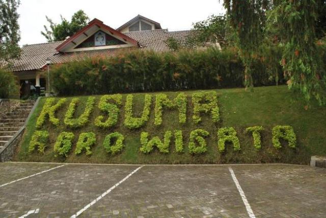Kusuma Agrowisata Batu, 1. Batu Night Spectacular, 2. Jatim Park 2, 3. Jatim Park 1, 4. Eco Green Park, 5. Alun – Alun Kota Batu, 6. Museum Angkut, 7. Museum d’Topeng Kingdom, 8. Taman Selecta Batu, 9. Inggil Museum Resto, 10. Kusuma Agrowisata Batu, 11. Kaliwatu Rafting, 12. Agrowisata Petik Apel Bumiaji, 13. Air Terjun Coban Talun, 14. Air Terjun Coban Rondo, 15. Pura Giri Arjuno, 16. Batu Wonderland, 17. Pemandian Air Panas Cangar, 18. Paralayang Batu, 19. Omah Kayu di Batu Malang , 20. Downhill Track Bukit Klemuk Batu, 21. Pemandian Songgoriti Batu, 22. Taman Kelinci, 23. Cafe Sawah Pujon Kidul, 24. Coban Rais, 25. Goa Pinus, 26. Gunung Banyak “Angel”, 27. Rumah Indian Coban Talun, 28. Jatim Park 3, 29. Taman Langit, 30. Predator Fun Park, 31. Flora Wisata San Terra, 32. Kebun Bunga Matahari dan Peternakan Kuda Megastar, 33. Ngukir Wisata Alam, 34. Taman Dolan, 35. Kampung LA Batu, 36. Coban Putri, 37. Pasar Wisata Batu, 38. Candi Songgoriti, 39. Sumber Torong Park