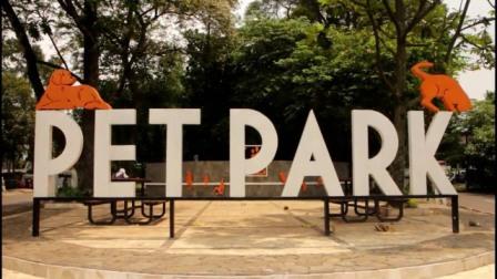 Pet Park - tempat nongkrong di Bandung, 1. De’ Tuik Garden Cafe &amp; Resto, 2. Caffe Bene, 3. Cafe D’Pakar, 4. Wiki Koffie, 5. Bober Cafe, 6. Cafe Lawangwangi, 7. Taman Gasibu , 8. Sudirman Street, 9. Dakken Coffee &amp; Steak, 10. Suga Rush, 11. Upper East Cafe, 12. Hummingbird Eatery, 13. Maja House, 14. Bumi Sangkuriang, 15. Selasar Sunaryo Art Space, 16. Congo Cafe &amp; Resto, 17. Little Wings Book Cafe, 18. Kedai Mie Reman, 19. Warung Salse, 20. Alun-alun Kota Bandung, 21. Cihampelas Walk atau Ciwalk, 22. Paris van Java, 23. Richeese Factory, 24. Cocorico, 25. Warunk Segood, 26. Noah’s Barn Coffeenery, 27. Two Hands Full, 28. Lacamera Coffee, 29. Roemah Makan Enak-Enak, 30. Kedai Berisik, 31. Waroeng Kopi Modjok, 32. Taman Fotografi, 33. Taman Film, 34. Taman Pustaka Bunga, 35. Taman Labirin, 36. Pet Park, 37. Taman Vanda, 38. Roemah Kopi, 39. Jack Runner Roastery, 40. CUPS Coffee &amp; Kitchen, 41. Ngopie Doeloe