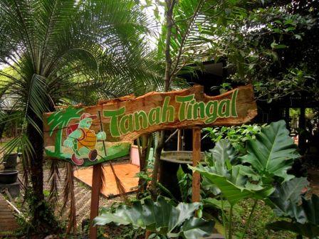 Tanah Tingal, 1. Taman Mini Indonesia Indah (TMII), 2. Monumen Nasional (Tugu Monas), 3. Taman Impian Jaya Ancol, 4. Kepulauan Seribu , 5. Dunia Fantasi (DUFAN) , 6. Pulau Tidung , 7. Kebun Binatang Ragunan , 8. Ocean Ecopark, 9. Pulau Bidadari , 10. Atlantis Water Adventure , 11. Pasar Seni, 12. Pelabuhan Marina  , 13.  Jembatan Kota Intan, 14. Museum Bank Indonesia , 15. Kidzania Pacific Place , 16. Ice Skating di Sky Rink , 17. Grand Indonesia Mall , 18. Kawasan Kota Tua Jakarta, 19. Masjid Istiqlal , 20. Gereja Katedral Jakarta , 21. Taman Suropati Jakarta , 22. Pasar Taman Puring , 23. Pasar Tanah Abang , 24. Museum Nasional , 25. Sea World Ancol , 26. Pecinan Glodok Jakarta , 27. Taman Wisata Alam Angke Kapuk, 28. Setu Babakan Jakarta , 29. Kandank Jurank Doank , 30. Cibubur Garden Diary, 31. Tanah Tingal , 32. Hauwke’s Auto Gallery , 33. Escape Hunt Jakarta , 34. The Wave Pondok Indah Waterpark , 35. Taman Wiladatika Cibubur, 36. Kemang Food Festival , 37. Flight Experience Gandaria (Tutup Permanen), 38. Wisata Pendidikan Pinisi , 39. Taman Wisata Tabebuya 