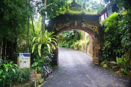 Tempat Wisata Museum Antonio Blanco Ubud, 1. Monkey Forest, 2. Istana Ubud, 3. Desa Visesa Ubud, 4. Pasar Seni Ubud, 5. Puri Saren Agung Ubud, 6. Goa Gajah (Elephant Cave), 7. Agung Rai Museum of Art (ARMA) Ubud, 8. Pura Taman Kemuda Saraswati, 9. Ayung Rafting, 10. Alas Harum Bali, 11. Tari Legong Mahabharata Di Puri Ubud, 12. Air Terjun Tegenungan, 13. Campuhan Ridge Walk, 14. Gunung Kawi Ubud, 15. Pura Kehen Ubud, 16. Tirta Empul Ubud, 17. Ubud me Sari Luwak Coffee, 18. Resto Bebek Bengil Ubud, 19. Bali Bird &amp; Reptile Park, 20. Museum Antonio Blanco Ubud, 21. Museum Rudana Ubud, 22. Nyuh Kuning Village, 23. Mason Elephant Park &amp; Lodge, 24. Museum Puri Lukisan Ubud, Museum Tertua di Bali, 25. Bali ATV Ride, 26. Desa Celuk, 27. The Yoga Barn, 28. Trekking Authentik Bali, 29. Swept Away at The Samaya Ubud, 30. La View Restaurant, 31. Seniman Coffee Studio, 32. Ketuts Bali Cooking Class, 33. Four Seasons Resort Bali At Sayan, 34. Hanging Gardens Of Bali, 35. Zen Hideaway, 36. Bali Pulina, 38. Museum Seni Neka Ubud, 39. Folk Pool &amp; Gardens