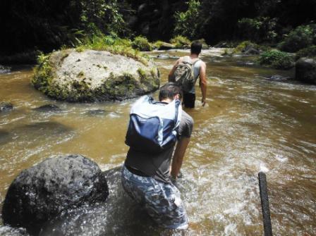 Trekking Authentik Bali, 1. Monkey Forest, 2. Istana Ubud, 3. Desa Visesa Ubud, 4. Pasar Seni Ubud, 5. Puri Saren Agung Ubud, 6. Goa Gajah (Elephant Cave), 7. Agung Rai Museum of Art (ARMA) Ubud, 8. Pura Taman Kemuda Saraswati, 9. Ayung Rafting, 10. Alas Harum Bali, 11. Tari Legong Mahabharata Di Puri Ubud, 12. Air Terjun Tegenungan, 13. Campuhan Ridge Walk, 14. Gunung Kawi Ubud, 15. Pura Kehen Ubud, 16. Tirta Empul Ubud, 17. Ubud me Sari Luwak Coffee, 18. Resto Bebek Bengil Ubud, 19. Bali Bird &amp; Reptile Park, 20. Museum Antonio Blanco Ubud, 21. Museum Rudana Ubud, 22. Nyuh Kuning Village, 23. Mason Elephant Park &amp; Lodge, 24. Museum Puri Lukisan Ubud, Museum Tertua di Bali, 25. Bali ATV Ride, 26. Desa Celuk, 27. The Yoga Barn, 28. Trekking Authentik Bali, 29. Swept Away at The Samaya Ubud, 30. La View Restaurant, 31. Seniman Coffee Studio, 32. Ketuts Bali Cooking Class, 33. Four Seasons Resort Bali At Sayan, 34. Hanging Gardens Of Bali, 35. Zen Hideaway, 36. Bali Pulina, 38. Museum Seni Neka Ubud, 39. Folk Pool &amp; Gardens