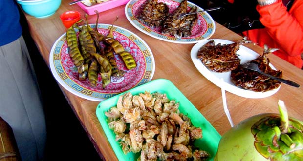 Aneka Kuliner Lezat di Pantai Depok Jogja, Lokasi Pantai Depok Jogja, Akses Menuju Pantai Depok , Harga Tiket Pantai Depok Jogja , Fasilitas  , Aneka Kuliner Lezat di Pantai Depok Jogja, Fasilitas di Pantai Depok Jogja