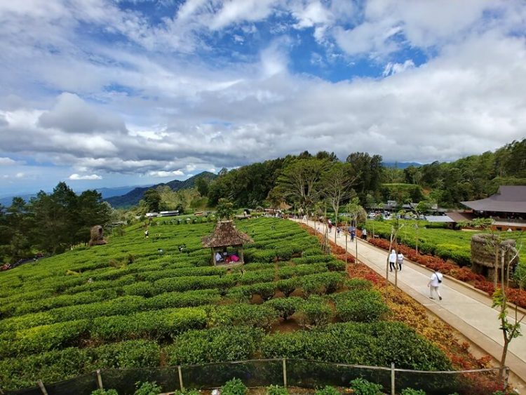 Asstro Highlands Ciater via Google Maps Kika Kusdinar