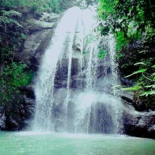 Curug Payung Kuningan, 1. Objek Wisata Pemandian Cibulan Kuningan, 2. Taman Nasional Gunung Ciremai , 3. Tempat Wisata Sejarah Situs Purbakala Cipari Kuningan, 4. Tempat Wisata Alam Curug Sidomba Kuningan, 5. Objek Wisata Taman Wisata Alam Linggajati Kuningan, 6. Objek Wisata Waduk Darma Kuningan , 7. Sumur Tujuh Cibulan, 8. Objek Wisata Telaga Remis Kuningan, 9. Objek Wisata Kebun Raya Kuningan, 10. Open Space Gallery Kuningan, 11. Tempat Wisata Sejarah Gedung Perundingan Linggarjati, 12. Pemandian Air Panas Sangkanurip Alami Kuningan, 13. Objek Wisata Lembah Cilengkrang Kuningan, 14. Balong Cigugur Kuningan, 15. Palutungan Kuningan, 16. The Mountain Recreation Park Kuningan, 17. Tempat Wisata Alam Curug Bangkong Kuningan , 18. Objek Wisata Taman Salsabila Kuningan, 19. Situ Cicerem Kuningan (Telaga Biru Cicerem), 20. Gunung Ciremai, 21. Desa Sitonjul Kuningan, 22. Telaga Nilem Kuningan, 23. Kolam Renang Sanggariang Kuningan, 24. Pemandian Air Panas Subang Kuningan, 25. Taman Cisantana, 26. Pusat Oleh-Oleh Kuningan, 27. Wisata Hutan Desa Setianegara, 28. Curug Ceret Kuningan, 29. Gua Maria Rahmat Sawer Cigugur, 30. Balong Keramat Darmaloka, 31. Bumi Perkemahan Ipukan Cisantana Kuningan , 32. Wisata Bukit Panembongan Kuningan, 33. Curug Gongseng, 34. Curug Nyandung Kuningan, 35. Pemandangan Indah Sukageuri Kuningan, 36. Curug Payung Kuningan, 37. Objek Wisata Alami Curug Ciputri Kuningan, 38. Kolam Terapi Ikan Cigugur Kuningan, 39. Paseban Tri Panca Tunggal, 40. Objek Wisata Hutan Kota Mayasih Kuningan, 41. Objek Wisata Hutan Kota Bungkirit Kuningan, 42. Objek Wisata Taman Kota Kuningan, 43. Objek Wisata Taman Cirendang Kuningan, 44. Objek Wisata Telaga Nilam Kuningan, 45. Objek Wisata Balong Dalem Jalaksana Kuningan, 46. Sangkan Resort Aqua Park