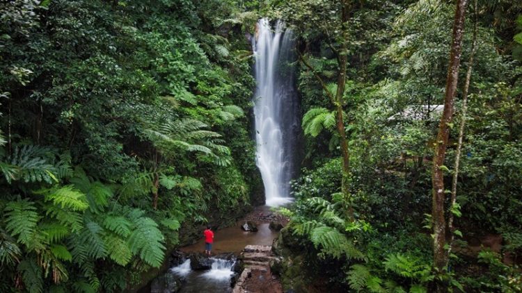 Curug Sadim via Google Maps