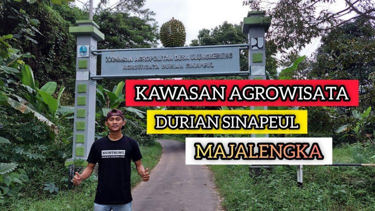 Durian Sinapeul via Youtube Bocah Duren, 1. Jembar Waterpark, 2. Perkebunan Teh Cipasung, 3. Goa Lalay, 4. Curug Muara Jaya, 5. Curug Sawer, 6. Talaga Herang, 7. Wisata Paralayang Gunung Panten, 8. Taman Wisata Bukit Alam Hejo, 9. Curug Tonjong, 10. Curug Cipeuteuy, 11. Air terjun Cibali, 12. Agro Batu Luhur, 13. Taman Buana Marga Majalengka (Taman Dinosaurus), 14. Situ Sangiang dan Makam Sunan Parung, 15. Pendakian Gunung Ciremai, 16. Curug Sempong, 17. Curug Awul, 18. Situ Cipanten, 19. Curug Campaga, 20. Curug Cipeureus, 21. Curug Puntang, 22. Panorama Cikebo, 23. Panorama Lemah Putih, 24. Situ Cikuda, 25. Bukit Panyaweuyan Argapura, 26. Wisata Situ Cipadung Desa Pajajar, 27. Wisata Cadas Gantung, 28. Air Terjun Embun Pelangi, 29. Air Terjun Cilutung, 30. Situ Janawi, 31. Taman Nasional Sadarehe, 32. Museum Talaga Manggung, 33. Rumah Adat Panjalin, 34. Gunung Cakrabuana, 35. Telaga di Petilasan Prabu Siliwangi, 36. Curug Ciwanda, 37. Curug Situhiang, 38. Taman Wisata Linggarjati, 39. Air Terjun Baligo, 40. Telaga Nila, 41. Kolam Renang Balong Sang Raja, 42. Gunung Batu Tilu, 43. Bukit Mercury Sayang Kaak, 44. Bendungan Raksasa Rentang, 45. Terasering Sawah Nangklak, 46. Gunung Ciwaru, 47. Puncak Sawiyah, 48. Ciboer Pass, 49. Curug Kapak Kuda, 50. Water Boom Tirta Indah, 51. Water Boom Rajawali ( Surya ), 52. Water Boom Tohaga, 53. Taman Ikan Bunderan , 54. Situ Batu di Desa Malausma, 55. Durian Sinapeul