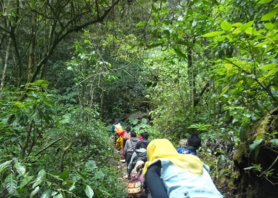 Gunung Cakrabuana, 1. Jembar Waterpark, 2. Perkebunan Teh Cipasung, 3. Goa Lalay, 4. Curug Muara Jaya, 5. Curug Sawer, 6. Talaga Herang, 7. Wisata Paralayang Gunung Panten, 8. Taman Wisata Bukit Alam Hejo, 9. Curug Tonjong, 10. Curug Cipeuteuy, 11. Air terjun Cibali, 12. Agro Batu Luhur, 13. Taman Buana Marga Majalengka (Taman Dinosaurus), 14. Situ Sangiang dan Makam Sunan Parung, 15. Pendakian Gunung Ciremai, 16. Curug Sempong, 17. Curug Awul, 18. Situ Cipanten, 19. Curug Campaga, 20. Curug Cipeureus, 21. Curug Puntang, 22. Panorama Cikebo, 23. Panorama Lemah Putih, 24. Situ Cikuda, 25. Bukit Panyaweuyan Argapura, 26. Wisata Situ Cipadung Desa Pajajar, 27. Wisata Cadas Gantung, 28. Air Terjun Embun Pelangi, 29. Air Terjun Cilutung, 30. Situ Janawi, 31. Taman Nasional Sadarehe, 32. Museum Talaga Manggung, 33. Rumah Adat Panjalin, 34. Gunung Cakrabuana, 35. Telaga di Petilasan Prabu Siliwangi, 36. Curug Ciwanda, 37. Curug Situhiang, 38. Taman Wisata Linggarjati, 39. Air Terjun Baligo, 40. Telaga Nila, 41. Kolam Renang Balong Sang Raja, 42. Gunung Batu Tilu, 43. Bukit Mercury Sayang Kaak, 44. Bendungan Raksasa Rentang, 45. Terasering Sawah Nangklak, 46. Gunung Ciwaru, 47. Puncak Sawiyah, 48. Ciboer Pass, 49. Curug Kapak Kuda, 50. Water Boom Tirta Indah, 51. Water Boom Rajawali ( Surya ), 52. Water Boom Tohaga, 53. Taman Ikan Bunderan , 54. Situ Batu di Desa Malausma, 55. Durian Sinapeul