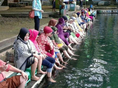 Kolam Terapi Ikan Cigugur Kuningan, 1. Objek Wisata Pemandian Cibulan Kuningan, 2. Taman Nasional Gunung Ciremai , 3. Tempat Wisata Sejarah Situs Purbakala Cipari Kuningan, 4. Tempat Wisata Alam Curug Sidomba Kuningan, 5. Objek Wisata Taman Wisata Alam Linggajati Kuningan, 6. Objek Wisata Waduk Darma Kuningan , 7. Sumur Tujuh Cibulan, 8. Objek Wisata Telaga Remis Kuningan, 9. Objek Wisata Kebun Raya Kuningan, 10. Open Space Gallery Kuningan, 11. Tempat Wisata Sejarah Gedung Perundingan Linggarjati, 12. Pemandian Air Panas Sangkanurip Alami Kuningan, 13. Objek Wisata Lembah Cilengkrang Kuningan, 14. Balong Cigugur Kuningan, 15. Palutungan Kuningan, 16. The Mountain Recreation Park Kuningan, 17. Tempat Wisata Alam Curug Bangkong Kuningan , 18. Objek Wisata Taman Salsabila Kuningan, 19. Situ Cicerem Kuningan (Telaga Biru Cicerem), 20. Gunung Ciremai, 21. Desa Sitonjul Kuningan, 22. Telaga Nilem Kuningan, 23. Kolam Renang Sanggariang Kuningan, 24. Pemandian Air Panas Subang Kuningan, 25. Taman Cisantana, 26. Pusat Oleh-Oleh Kuningan, 27. Wisata Hutan Desa Setianegara, 28. Curug Ceret Kuningan, 29. Gua Maria Rahmat Sawer Cigugur, 30. Balong Keramat Darmaloka, 31. Bumi Perkemahan Ipukan Cisantana Kuningan , 32. Wisata Bukit Panembongan Kuningan, 33. Curug Gongseng, 34. Curug Nyandung Kuningan, 35. Pemandangan Indah Sukageuri Kuningan, 36. Curug Payung Kuningan, 37. Objek Wisata Alami Curug Ciputri Kuningan, 38. Kolam Terapi Ikan Cigugur Kuningan, 39. Paseban Tri Panca Tunggal, 40. Objek Wisata Hutan Kota Mayasih Kuningan, 41. Objek Wisata Hutan Kota Bungkirit Kuningan, 42. Objek Wisata Taman Kota Kuningan, 43. Objek Wisata Taman Cirendang Kuningan, 44. Objek Wisata Telaga Nilam Kuningan, 45. Objek Wisata Balong Dalem Jalaksana Kuningan, 46. Sangkan Resort Aqua Park