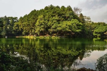 Objek Wisata Telaga Remis Kuningan, 1. Objek Wisata Pemandian Cibulan Kuningan, 2. Taman Nasional Gunung Ciremai , 3. Tempat Wisata Sejarah Situs Purbakala Cipari Kuningan, 4. Tempat Wisata Alam Curug Sidomba Kuningan, 5. Objek Wisata Taman Wisata Alam Linggajati Kuningan, 6. Objek Wisata Waduk Darma Kuningan , 7. Sumur Tujuh Cibulan, 8. Objek Wisata Telaga Remis Kuningan, 9. Objek Wisata Kebun Raya Kuningan, 10. Open Space Gallery Kuningan, 11. Tempat Wisata Sejarah Gedung Perundingan Linggarjati, 12. Pemandian Air Panas Sangkanurip Alami Kuningan, 13. Objek Wisata Lembah Cilengkrang Kuningan, 14. Balong Cigugur Kuningan, 15. Palutungan Kuningan, 16. The Mountain Recreation Park Kuningan, 17. Tempat Wisata Alam Curug Bangkong Kuningan , 18. Objek Wisata Taman Salsabila Kuningan, 19. Situ Cicerem Kuningan (Telaga Biru Cicerem), 20. Gunung Ciremai, 21. Desa Sitonjul Kuningan, 22. Telaga Nilem Kuningan, 23. Kolam Renang Sanggariang Kuningan, 24. Pemandian Air Panas Subang Kuningan, 25. Taman Cisantana, 26. Pusat Oleh-Oleh Kuningan, 27. Wisata Hutan Desa Setianegara, 28. Curug Ceret Kuningan, 29. Gua Maria Rahmat Sawer Cigugur, 30. Balong Keramat Darmaloka, 31. Bumi Perkemahan Ipukan Cisantana Kuningan , 32. Wisata Bukit Panembongan Kuningan, 33. Curug Gongseng, 34. Curug Nyandung Kuningan, 35. Pemandangan Indah Sukageuri Kuningan, 36. Curug Payung Kuningan, 37. Objek Wisata Alami Curug Ciputri Kuningan, 38. Kolam Terapi Ikan Cigugur Kuningan, 39. Paseban Tri Panca Tunggal, 40. Objek Wisata Hutan Kota Mayasih Kuningan, 41. Objek Wisata Hutan Kota Bungkirit Kuningan, 42. Objek Wisata Taman Kota Kuningan, 43. Objek Wisata Taman Cirendang Kuningan, 44. Objek Wisata Telaga Nilam Kuningan, 45. Objek Wisata Balong Dalem Jalaksana Kuningan, 46. Sangkan Resort Aqua Park
