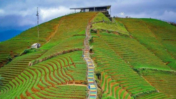 Panyaweuyan Argapura via Tribunnews, 1. Jembar Waterpark, 2. Perkebunan Teh Cipasung, 3. Goa Lalay, 4. Curug Muara Jaya, 5. Curug Sawer, 6. Talaga Herang, 7. Wisata Paralayang Gunung Panten, 8. Taman Wisata Bukit Alam Hejo, 9. Curug Tonjong, 10. Curug Cipeuteuy, 11. Air terjun Cibali, 12. Agro Batu Luhur, 13. Taman Buana Marga Majalengka (Taman Dinosaurus), 14. Situ Sangiang dan Makam Sunan Parung, 15. Pendakian Gunung Ciremai, 16. Curug Sempong, 17. Curug Awul, 18. Situ Cipanten, 19. Curug Campaga, 20. Curug Cipeureus, 21. Curug Puntang, 22. Panorama Cikebo, 23. Panorama Lemah Putih, 24. Situ Cikuda, 25. Bukit Panyaweuyan Argapura, 26. Wisata Situ Cipadung Desa Pajajar, 27. Wisata Cadas Gantung, 28. Air Terjun Embun Pelangi, 29. Air Terjun Cilutung, 30. Situ Janawi, 31. Taman Nasional Sadarehe, 32. Museum Talaga Manggung, 33. Rumah Adat Panjalin, 34. Gunung Cakrabuana, 35. Telaga di Petilasan Prabu Siliwangi, 36. Curug Ciwanda, 37. Curug Situhiang, 38. Taman Wisata Linggarjati, 39. Air Terjun Baligo, 40. Telaga Nila, 41. Kolam Renang Balong Sang Raja, 42. Gunung Batu Tilu, 43. Bukit Mercury Sayang Kaak, 44. Bendungan Raksasa Rentang, 45. Terasering Sawah Nangklak, 46. Gunung Ciwaru, 47. Puncak Sawiyah, 48. Ciboer Pass, 49. Curug Kapak Kuda, 50. Water Boom Tirta Indah, 51. Water Boom Rajawali ( Surya ), 52. Water Boom Tohaga, 53. Taman Ikan Bunderan , 54. Situ Batu di Desa Malausma, 55. Durian Sinapeul