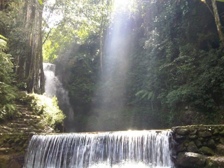 Palutungan Kuningan, 1. Objek Wisata Pemandian Cibulan Kuningan, 2. Taman Nasional Gunung Ciremai , 3. Tempat Wisata Sejarah Situs Purbakala Cipari Kuningan, 4. Tempat Wisata Alam Curug Sidomba Kuningan, 5. Objek Wisata Taman Wisata Alam Linggajati Kuningan, 6. Objek Wisata Waduk Darma Kuningan , 7. Sumur Tujuh Cibulan, 8. Objek Wisata Telaga Remis Kuningan, 9. Objek Wisata Kebun Raya Kuningan, 10. Open Space Gallery Kuningan, 11. Tempat Wisata Sejarah Gedung Perundingan Linggarjati, 12. Pemandian Air Panas Sangkanurip Alami Kuningan, 13. Objek Wisata Lembah Cilengkrang Kuningan, 14. Balong Cigugur Kuningan, 15. Palutungan Kuningan, 16. The Mountain Recreation Park Kuningan, 17. Tempat Wisata Alam Curug Bangkong Kuningan , 18. Objek Wisata Taman Salsabila Kuningan, 19. Situ Cicerem Kuningan (Telaga Biru Cicerem), 20. Gunung Ciremai, 21. Desa Sitonjul Kuningan, 22. Telaga Nilem Kuningan, 23. Kolam Renang Sanggariang Kuningan, 24. Pemandian Air Panas Subang Kuningan, 25. Taman Cisantana, 26. Pusat Oleh-Oleh Kuningan, 27. Wisata Hutan Desa Setianegara, 28. Curug Ceret Kuningan, 29. Gua Maria Rahmat Sawer Cigugur, 30. Balong Keramat Darmaloka, 31. Bumi Perkemahan Ipukan Cisantana Kuningan , 32. Wisata Bukit Panembongan Kuningan, 33. Curug Gongseng, 34. Curug Nyandung Kuningan, 35. Pemandangan Indah Sukageuri Kuningan, 36. Curug Payung Kuningan, 37. Objek Wisata Alami Curug Ciputri Kuningan, 38. Kolam Terapi Ikan Cigugur Kuningan, 39. Paseban Tri Panca Tunggal, 40. Objek Wisata Hutan Kota Mayasih Kuningan, 41. Objek Wisata Hutan Kota Bungkirit Kuningan, 42. Objek Wisata Taman Kota Kuningan, 43. Objek Wisata Taman Cirendang Kuningan, 44. Objek Wisata Telaga Nilam Kuningan, 45. Objek Wisata Balong Dalem Jalaksana Kuningan, 46. Sangkan Resort Aqua Park
