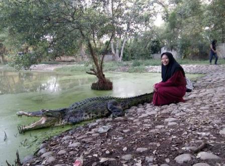 Peternakan Buaya di Blanakan Subang