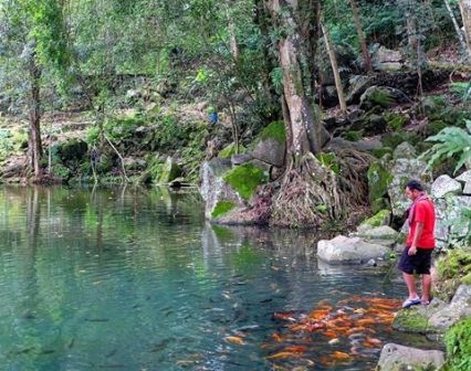 Situ Cicerem Kuningan (Telaga Biru Cicerem), 1. Objek Wisata Pemandian Cibulan Kuningan, 2. Taman Nasional Gunung Ciremai , 3. Tempat Wisata Sejarah Situs Purbakala Cipari Kuningan, 4. Tempat Wisata Alam Curug Sidomba Kuningan, 5. Objek Wisata Taman Wisata Alam Linggajati Kuningan, 6. Objek Wisata Waduk Darma Kuningan , 7. Sumur Tujuh Cibulan, 8. Objek Wisata Telaga Remis Kuningan, 9. Objek Wisata Kebun Raya Kuningan, 10. Open Space Gallery Kuningan, 11. Tempat Wisata Sejarah Gedung Perundingan Linggarjati, 12. Pemandian Air Panas Sangkanurip Alami Kuningan, 13. Objek Wisata Lembah Cilengkrang Kuningan, 14. Balong Cigugur Kuningan, 15. Palutungan Kuningan, 16. The Mountain Recreation Park Kuningan, 17. Tempat Wisata Alam Curug Bangkong Kuningan , 18. Objek Wisata Taman Salsabila Kuningan, 19. Situ Cicerem Kuningan (Telaga Biru Cicerem), 20. Gunung Ciremai, 21. Desa Sitonjul Kuningan, 22. Telaga Nilem Kuningan, 23. Kolam Renang Sanggariang Kuningan, 24. Pemandian Air Panas Subang Kuningan, 25. Taman Cisantana, 26. Pusat Oleh-Oleh Kuningan, 27. Wisata Hutan Desa Setianegara, 28. Curug Ceret Kuningan, 29. Gua Maria Rahmat Sawer Cigugur, 30. Balong Keramat Darmaloka, 31. Bumi Perkemahan Ipukan Cisantana Kuningan , 32. Wisata Bukit Panembongan Kuningan, 33. Curug Gongseng, 34. Curug Nyandung Kuningan, 35. Pemandangan Indah Sukageuri Kuningan, 36. Curug Payung Kuningan, 37. Objek Wisata Alami Curug Ciputri Kuningan, 38. Kolam Terapi Ikan Cigugur Kuningan, 39. Paseban Tri Panca Tunggal, 40. Objek Wisata Hutan Kota Mayasih Kuningan, 41. Objek Wisata Hutan Kota Bungkirit Kuningan, 42. Objek Wisata Taman Kota Kuningan, 43. Objek Wisata Taman Cirendang Kuningan, 44. Objek Wisata Telaga Nilam Kuningan, 45. Objek Wisata Balong Dalem Jalaksana Kuningan, 46. Sangkan Resort Aqua Park