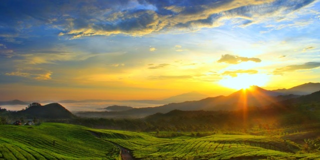 Sunrise di Kebun Teh Ciater