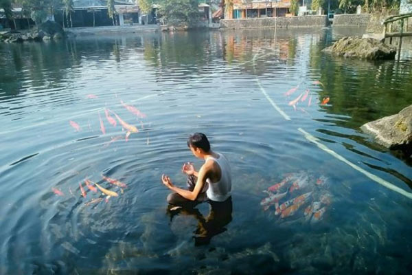 Talaga Herang, 1. Jembar Waterpark, 2. Perkebunan Teh Cipasung, 3. Goa Lalay, 4. Curug Muara Jaya, 5. Curug Sawer, 6. Talaga Herang, 7. Wisata Paralayang Gunung Panten, 8. Taman Wisata Bukit Alam Hejo, 9. Curug Tonjong, 10. Curug Cipeuteuy, 11. Air terjun Cibali, 12. Agro Batu Luhur, 13. Taman Buana Marga Majalengka (Taman Dinosaurus), 14. Situ Sangiang dan Makam Sunan Parung, 15. Pendakian Gunung Ciremai, 16. Curug Sempong, 17. Curug Awul, 18. Situ Cipanten, 19. Curug Campaga, 20. Curug Cipeureus, 21. Curug Puntang, 22. Panorama Cikebo, 23. Panorama Lemah Putih, 24. Situ Cikuda, 25. Bukit Panyaweuyan Argapura, 26. Wisata Situ Cipadung Desa Pajajar, 27. Wisata Cadas Gantung, 28. Air Terjun Embun Pelangi, 29. Air Terjun Cilutung, 30. Situ Janawi, 31. Taman Nasional Sadarehe, 32. Museum Talaga Manggung, 33. Rumah Adat Panjalin, 34. Gunung Cakrabuana, 35. Telaga di Petilasan Prabu Siliwangi, 36. Curug Ciwanda, 37. Curug Situhiang, 38. Taman Wisata Linggarjati, 39. Air Terjun Baligo, 40. Telaga Nila, 41. Kolam Renang Balong Sang Raja, 42. Gunung Batu Tilu, 43. Bukit Mercury Sayang Kaak, 44. Bendungan Raksasa Rentang, 45. Terasering Sawah Nangklak, 46. Gunung Ciwaru, 47. Puncak Sawiyah, 48. Ciboer Pass, 49. Curug Kapak Kuda, 50. Water Boom Tirta Indah, 51. Water Boom Rajawali ( Surya ), 52. Water Boom Tohaga, 53. Taman Ikan Bunderan , 54. Situ Batu di Desa Malausma, 55. Durian Sinapeul