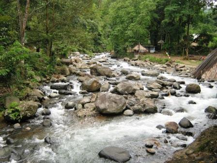 Tempat Rekreasi Keluarga Linggo Asri di Pekalongan, 1. Pantai Pasir Kencana, 2. Curug Muncar, 3. Curug Bajing , 4. Pantai Slamaran , 5. Museum Batik Pekalongan, 6. Pantai Sunter Depok Indah, 7. Puncak Hanoman Gunung Kendalisodo, 8. Linggo Asri, 9. Kebun Teh Kaliboja, 10. Lolong Adventure, 11. International Batik Center , 12. Gunung Rogojembangan , 13. Wisata Watu Ireng , 14. Pantai Wonokerto , 15. Bukit Pawuluhan, 16. Wisata Mangrove Park Pekalongan, 17. Blackcanyon Petungkriyono, 18. Wisata Curug Madu, 19. Curug Bidadari Jolotigo , 20. Curug Cinde, 21. Monumen Pekalongan, 22. Alun-alun Kota Pekalongan, 23. Alun-alun Bebekan Kedungwuni, 24. Kali Paingan, 25. Curug Lawe, 26. Bendungan Kletak, 27. Curug Blanten, 28. Curug Bekakak, 29. Jembatan Lengkung Surabayan, 30. Taman Kuripan Pekalongan “Nursery Horikultura, 31. Pantai Sari Pekalongan, 32. Bengkelung Park, 33. Kolam Renang Banyubiru Pekalongan, 34. Taman Lapangan Bebekan, 35. Wisata Ciblon, 36. Zatoland Waterboom, 37. Bukit Bintang Kutorojo, 38. La’Ranch Glamping, 39. Telaga Sigebyar Mangunan, 40. Sipare Green Park, 41. Km 0 Pekalongan, 42. Wisata Danau Alkautsar, 43. Dino Park Soko Langit Pekalongan, 44. Masjid Agung Al-Jami Pekalongan, 45. Wisata Bahari PPNP, 46. Nasi Megono Bu Suli – Wisata Kuliner khas Pekalongan , 47. Pusat Grosir Setono