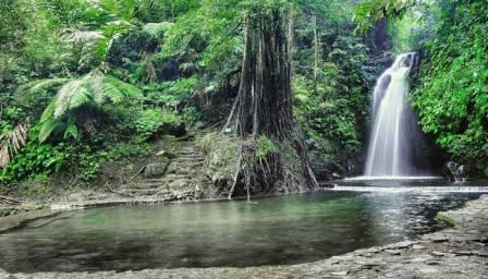 Tempat Wisata Alam Curug Sidomba Kuningan, 1. Objek Wisata Pemandian Cibulan Kuningan, 2. Taman Nasional Gunung Ciremai , 3. Tempat Wisata Sejarah Situs Purbakala Cipari Kuningan, 4. Tempat Wisata Alam Curug Sidomba Kuningan, 5. Objek Wisata Taman Wisata Alam Linggajati Kuningan, 6. Objek Wisata Waduk Darma Kuningan , 7. Sumur Tujuh Cibulan, 8. Objek Wisata Telaga Remis Kuningan, 9. Objek Wisata Kebun Raya Kuningan, 10. Open Space Gallery Kuningan, 11. Tempat Wisata Sejarah Gedung Perundingan Linggarjati, 12. Pemandian Air Panas Sangkanurip Alami Kuningan, 13. Objek Wisata Lembah Cilengkrang Kuningan, 14. Balong Cigugur Kuningan, 15. Palutungan Kuningan, 16. The Mountain Recreation Park Kuningan, 17. Tempat Wisata Alam Curug Bangkong Kuningan , 18. Objek Wisata Taman Salsabila Kuningan, 19. Situ Cicerem Kuningan (Telaga Biru Cicerem), 20. Gunung Ciremai, 21. Desa Sitonjul Kuningan, 22. Telaga Nilem Kuningan, 23. Kolam Renang Sanggariang Kuningan, 24. Pemandian Air Panas Subang Kuningan, 25. Taman Cisantana, 26. Pusat Oleh-Oleh Kuningan, 27. Wisata Hutan Desa Setianegara, 28. Curug Ceret Kuningan, 29. Gua Maria Rahmat Sawer Cigugur, 30. Balong Keramat Darmaloka, 31. Bumi Perkemahan Ipukan Cisantana Kuningan , 32. Wisata Bukit Panembongan Kuningan, 33. Curug Gongseng, 34. Curug Nyandung Kuningan, 35. Pemandangan Indah Sukageuri Kuningan, 36. Curug Payung Kuningan, 37. Objek Wisata Alami Curug Ciputri Kuningan, 38. Kolam Terapi Ikan Cigugur Kuningan, 39. Paseban Tri Panca Tunggal, 40. Objek Wisata Hutan Kota Mayasih Kuningan, 41. Objek Wisata Hutan Kota Bungkirit Kuningan, 42. Objek Wisata Taman Kota Kuningan, 43. Objek Wisata Taman Cirendang Kuningan, 44. Objek Wisata Telaga Nilam Kuningan, 45. Objek Wisata Balong Dalem Jalaksana Kuningan, 46. Sangkan Resort Aqua Park