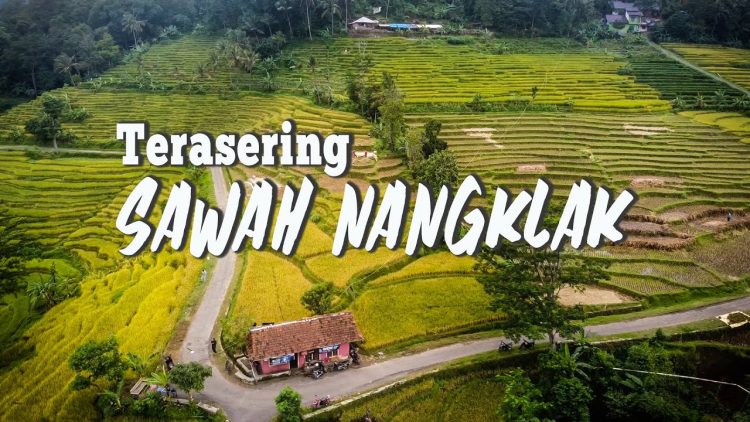 Terasering Sawah Nangklak via Youtube Apri Subroto, 1. Jembar Waterpark, 2. Perkebunan Teh Cipasung, 3. Goa Lalay, 4. Curug Muara Jaya, 5. Curug Sawer, 6. Talaga Herang, 7. Wisata Paralayang Gunung Panten, 8. Taman Wisata Bukit Alam Hejo, 9. Curug Tonjong, 10. Curug Cipeuteuy, 11. Air terjun Cibali, 12. Agro Batu Luhur, 13. Taman Buana Marga Majalengka (Taman Dinosaurus), 14. Situ Sangiang dan Makam Sunan Parung, 15. Pendakian Gunung Ciremai, 16. Curug Sempong, 17. Curug Awul, 18. Situ Cipanten, 19. Curug Campaga, 20. Curug Cipeureus, 21. Curug Puntang, 22. Panorama Cikebo, 23. Panorama Lemah Putih, 24. Situ Cikuda, 25. Bukit Panyaweuyan Argapura, 26. Wisata Situ Cipadung Desa Pajajar, 27. Wisata Cadas Gantung, 28. Air Terjun Embun Pelangi, 29. Air Terjun Cilutung, 30. Situ Janawi, 31. Taman Nasional Sadarehe, 32. Museum Talaga Manggung, 33. Rumah Adat Panjalin, 34. Gunung Cakrabuana, 35. Telaga di Petilasan Prabu Siliwangi, 36. Curug Ciwanda, 37. Curug Situhiang, 38. Taman Wisata Linggarjati, 39. Air Terjun Baligo, 40. Telaga Nila, 41. Kolam Renang Balong Sang Raja, 42. Gunung Batu Tilu, 43. Bukit Mercury Sayang Kaak, 44. Bendungan Raksasa Rentang, 45. Terasering Sawah Nangklak, 46. Gunung Ciwaru, 47. Puncak Sawiyah, 48. Ciboer Pass, 49. Curug Kapak Kuda, 50. Water Boom Tirta Indah, 51. Water Boom Rajawali ( Surya ), 52. Water Boom Tohaga, 53. Taman Ikan Bunderan , 54. Situ Batu di Desa Malausma, 55. Durian Sinapeul