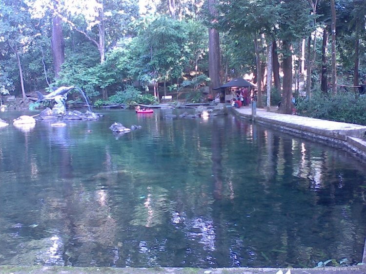 Wisata Situ Cipadung Desa Pajajar, 1. Jembar Waterpark, 2. Perkebunan Teh Cipasung, 3. Goa Lalay, 4. Curug Muara Jaya, 5. Curug Sawer, 6. Talaga Herang, 7. Wisata Paralayang Gunung Panten, 8. Taman Wisata Bukit Alam Hejo, 9. Curug Tonjong, 10. Curug Cipeuteuy, 11. Air terjun Cibali, 12. Agro Batu Luhur, 13. Taman Buana Marga Majalengka (Taman Dinosaurus), 14. Situ Sangiang dan Makam Sunan Parung, 15. Pendakian Gunung Ciremai, 16. Curug Sempong, 17. Curug Awul, 18. Situ Cipanten, 19. Curug Campaga, 20. Curug Cipeureus, 21. Curug Puntang, 22. Panorama Cikebo, 23. Panorama Lemah Putih, 24. Situ Cikuda, 25. Bukit Panyaweuyan Argapura, 26. Wisata Situ Cipadung Desa Pajajar, 27. Wisata Cadas Gantung, 28. Air Terjun Embun Pelangi, 29. Air Terjun Cilutung, 30. Situ Janawi, 31. Taman Nasional Sadarehe, 32. Museum Talaga Manggung, 33. Rumah Adat Panjalin, 34. Gunung Cakrabuana, 35. Telaga di Petilasan Prabu Siliwangi, 36. Curug Ciwanda, 37. Curug Situhiang, 38. Taman Wisata Linggarjati, 39. Air Terjun Baligo, 40. Telaga Nila, 41. Kolam Renang Balong Sang Raja, 42. Gunung Batu Tilu, 43. Bukit Mercury Sayang Kaak, 44. Bendungan Raksasa Rentang, 45. Terasering Sawah Nangklak, 46. Gunung Ciwaru, 47. Puncak Sawiyah, 48. Ciboer Pass, 49. Curug Kapak Kuda, 50. Water Boom Tirta Indah, 51. Water Boom Rajawali ( Surya ), 52. Water Boom Tohaga, 53. Taman Ikan Bunderan , 54. Situ Batu di Desa Malausma, 55. Durian Sinapeul