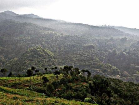 Agrowisata Kampung Nangorak, 1. Kampung Toga, 2. Curug Cigorobog, 3. Agrowisata Kampung Nangorak, 4. Curug Sabuk, 5. Wisata Alam Pangjugjugan, 6. Sumber Air Panas Sekarwangi, 7. Perkebunan Teh Margawindu, 8.  Wisata Kuliner Soto Bongko Khas Sumedang, 9. Mendaki Gunung Tampomas Sumedang, 10. Liburan ke Curug Ciputrawangi Sumedang, 11. Objek Wisata Situ Cilembang di Sumedang, 12. Gunung Kunci – Tempat Wisata Sejarah di Sumedang , 13. River Tubing, 14. Museum Prabu Geusan Ulun, 15. Curug Cinulang, 16. Wisata Air Gajah Depa, 17. Mata Air Sirah Cipelang, 18. Pemandian Air Panas Cileungsing, 19. Wisata ke Curug Cipongkor Sumedang, 20. Wisata Paralayang di Batu Dua Gunung Lingga, 21. Wisata Situs Prabu Tajimalela Gunung Lingga, 22. Cipanteneun, 23. Mata Air Cikandung Sumedang, 24. Puncak Gunung Batu Sumedang, 25. Wisata Waduk Jatigede Sumedang, 26. Wisata Taman Buru Masigit Kareumbi, 27. Wisata Saung Cibingbin Sumedang, 28. Curug Cibayawak Desa Jembarwangi Tomo, 29. Puncak Damar Baros Jatigede Sumedang, 30. Jembatan Cincin Cikuda Jatinangor Sumedang, 31. Eco Green Park Kampung Karuhun, 32. Sensasi Arung Jeram Pangcalikan, 33. Wisata ke Gunung Kerenceng Sumedang, 34. Makam Cut Nyak Dien, 35. Akhiri Petualangan Kalian di Sumedang dengan Memborong Tahu Sumedang untuk Oleh-oleh