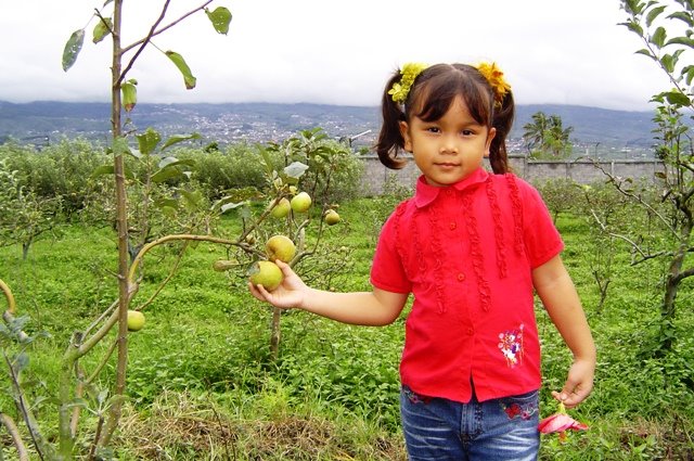 Agrowisata Lumajang, 1. Pemandian Alam Selokambang, 2. Liburan ke Pantai Bambang Lumajang, 3. Wisata Sejara ke Candi Mandara Giri Lumajang, 4. Tempat Wisata Alam Goa Tetes Lumajang, 5. Liburan Seru ke Gunung Semeru Lumajang, 6. Kawasan Wonorejo Terpadu (KWT) Lumajang, 7. Liburan Seru ke Pantai Watu Godeg Lumajang, 8. Tempat Wisata Alam Danau Ranu Kumbolo Lumajang, 9. Tempat Wisata Pantai Dampar Lumajang, 10. Berwisata ke Pantai Watu Pecak Lumajang, 11. Tempat Liburan Keluarga Pantai Tlepuk Lumajang, 12. Tempat Wisata Seru Gunung Lemongan Lumajang, 13. Wisata Air Terjun Manggisan Lumajang, 14. Puncak B-29, 15. Wisata Kebun Teh Kertowono Gucialit Lumajang, 16. Wisata Sejarah Situs Biting, 17. Tubing Adventure Kali Betoto, 18. Air Terjun Coban Sewu, 19. Ranu Regulo, 20. Ranu Pane, 21. Ranu Bedali, 22. Ranu Pakis, 23. Danau Klakah, 24. Wisata Air Terjun Coban Pawon Lumajang, 25. Wisata Hutan Bambu Lumajang, 26. Air Terjun Kapas Biru, 27. Ranu Lading, 28. Kolam Renang Veteran, 29. Agrowisata Lumajang, 30. Objek Wisata Goa Bima di Lumajang, 31. Wisata Air Terjun Watu Lapis Lumajang, 32. Wisata Pantai Wotgalih Lumajang, 33. Agrowisata Bunga Lumajang, 34. Museum Daerah Lumajang, 35. Gunung Sawur, 36. Gunung Wayang, 37. Coban Sriti (Antrukan Wolu), 38. Coban Kabut Pelangi, 39. Wisata Bukit Cinta Mahameru, 40. Oro Oro Ombo, 41. Air Terjun Gucialit (Semingkir), 42. Tempat Wisata Air Terjun Carang Kuning, 43. Air Terjun Antrukan Trap Seribu, 44. Air Terjun Kedung Kuwung, 45. Tirtosari View, 46. Air Terjun Antrukan Menjangan, 47. Air Terjun Antrukan Jago Lumajang, 48. Kebun Kertonowo, 49. Hutan Pinus Penanggal, 50. Grati Park, 51. Puncak Gunung Wayang, 52. Alun-alun Lumajang