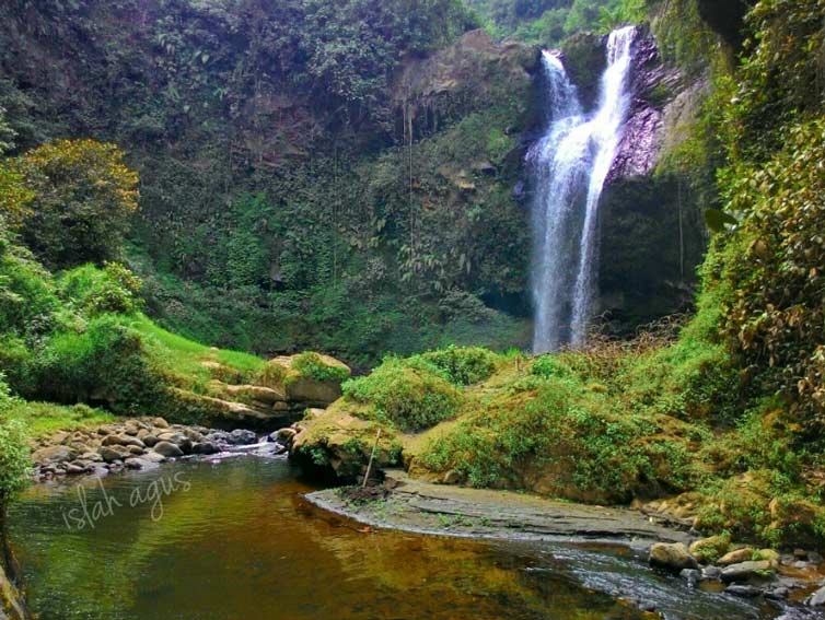 Air Terjun Antrukan Jago Lumajang, 1. Pemandian Alam Selokambang, 2. Liburan ke Pantai Bambang Lumajang, 3. Wisata Sejara ke Candi Mandara Giri Lumajang, 4. Tempat Wisata Alam Goa Tetes Lumajang, 5. Liburan Seru ke Gunung Semeru Lumajang, 6. Kawasan Wonorejo Terpadu (KWT) Lumajang, 7. Liburan Seru ke Pantai Watu Godeg Lumajang, 8. Tempat Wisata Alam Danau Ranu Kumbolo Lumajang, 9. Tempat Wisata Pantai Dampar Lumajang, 10. Berwisata ke Pantai Watu Pecak Lumajang, 11. Tempat Liburan Keluarga Pantai Tlepuk Lumajang, 12. Tempat Wisata Seru Gunung Lemongan Lumajang, 13. Wisata Air Terjun Manggisan Lumajang, 14. Puncak B-29, 15. Wisata Kebun Teh Kertowono Gucialit Lumajang, 16. Wisata Sejarah Situs Biting, 17. Tubing Adventure Kali Betoto, 18. Air Terjun Coban Sewu, 19. Ranu Regulo, 20. Ranu Pane, 21. Ranu Bedali, 22. Ranu Pakis, 23. Danau Klakah, 24. Wisata Air Terjun Coban Pawon Lumajang, 25. Wisata Hutan Bambu Lumajang, 26. Air Terjun Kapas Biru, 27. Ranu Lading, 28. Kolam Renang Veteran, 29. Agrowisata Lumajang, 30. Objek Wisata Goa Bima di Lumajang, 31. Wisata Air Terjun Watu Lapis Lumajang, 32. Wisata Pantai Wotgalih Lumajang, 33. Agrowisata Bunga Lumajang, 34. Museum Daerah Lumajang, 35. Gunung Sawur, 36. Gunung Wayang, 37. Coban Sriti (Antrukan Wolu), 38. Coban Kabut Pelangi, 39. Wisata Bukit Cinta Mahameru, 40. Oro Oro Ombo, 41. Air Terjun Gucialit (Semingkir), 42. Tempat Wisata Air Terjun Carang Kuning, 43. Air Terjun Antrukan Trap Seribu, 44. Air Terjun Kedung Kuwung, 45. Tirtosari View, 46. Air Terjun Antrukan Menjangan, 47. Air Terjun Antrukan Jago Lumajang, 48. Kebun Kertonowo, 49. Hutan Pinus Penanggal, 50. Grati Park, 51. Puncak Gunung Wayang, 52. Alun-alun Lumajang