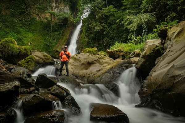 Air Terjun Antrukan Menjangan, 1. Pemandian Alam Selokambang, 2. Liburan ke Pantai Bambang Lumajang, 3. Wisata Sejara ke Candi Mandara Giri Lumajang, 4. Tempat Wisata Alam Goa Tetes Lumajang, 5. Liburan Seru ke Gunung Semeru Lumajang, 6. Kawasan Wonorejo Terpadu (KWT) Lumajang, 7. Liburan Seru ke Pantai Watu Godeg Lumajang, 8. Tempat Wisata Alam Danau Ranu Kumbolo Lumajang, 9. Tempat Wisata Pantai Dampar Lumajang, 10. Berwisata ke Pantai Watu Pecak Lumajang, 11. Tempat Liburan Keluarga Pantai Tlepuk Lumajang, 12. Tempat Wisata Seru Gunung Lemongan Lumajang, 13. Wisata Air Terjun Manggisan Lumajang, 14. Puncak B-29, 15. Wisata Kebun Teh Kertowono Gucialit Lumajang, 16. Wisata Sejarah Situs Biting, 17. Tubing Adventure Kali Betoto, 18. Air Terjun Coban Sewu, 19. Ranu Regulo, 20. Ranu Pane, 21. Ranu Bedali, 22. Ranu Pakis, 23. Danau Klakah, 24. Wisata Air Terjun Coban Pawon Lumajang, 25. Wisata Hutan Bambu Lumajang, 26. Air Terjun Kapas Biru, 27. Ranu Lading, 28. Kolam Renang Veteran, 29. Agrowisata Lumajang, 30. Objek Wisata Goa Bima di Lumajang, 31. Wisata Air Terjun Watu Lapis Lumajang, 32. Wisata Pantai Wotgalih Lumajang, 33. Agrowisata Bunga Lumajang, 34. Museum Daerah Lumajang, 35. Gunung Sawur, 36. Gunung Wayang, 37. Coban Sriti (Antrukan Wolu), 38. Coban Kabut Pelangi, 39. Wisata Bukit Cinta Mahameru, 40. Oro Oro Ombo, 41. Air Terjun Gucialit (Semingkir), 42. Tempat Wisata Air Terjun Carang Kuning, 43. Air Terjun Antrukan Trap Seribu, 44. Air Terjun Kedung Kuwung, 45. Tirtosari View, 46. Air Terjun Antrukan Menjangan, 47. Air Terjun Antrukan Jago Lumajang, 48. Kebun Kertonowo, 49. Hutan Pinus Penanggal, 50. Grati Park, 51. Puncak Gunung Wayang, 52. Alun-alun Lumajang