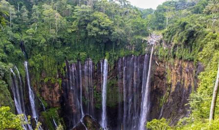 Air Terjun Coban Sewu, 1. Pemandian Alam Selokambang, 2. Liburan ke Pantai Bambang Lumajang, 3. Wisata Sejara ke Candi Mandara Giri Lumajang, 4. Tempat Wisata Alam Goa Tetes Lumajang, 5. Liburan Seru ke Gunung Semeru Lumajang, 6. Kawasan Wonorejo Terpadu (KWT) Lumajang, 7. Liburan Seru ke Pantai Watu Godeg Lumajang, 8. Tempat Wisata Alam Danau Ranu Kumbolo Lumajang, 9. Tempat Wisata Pantai Dampar Lumajang, 10. Berwisata ke Pantai Watu Pecak Lumajang, 11. Tempat Liburan Keluarga Pantai Tlepuk Lumajang, 12. Tempat Wisata Seru Gunung Lemongan Lumajang, 13. Wisata Air Terjun Manggisan Lumajang, 14. Puncak B-29, 15. Wisata Kebun Teh Kertowono Gucialit Lumajang, 16. Wisata Sejarah Situs Biting, 17. Tubing Adventure Kali Betoto, 18. Air Terjun Coban Sewu, 19. Ranu Regulo, 20. Ranu Pane, 21. Ranu Bedali, 22. Ranu Pakis, 23. Danau Klakah, 24. Wisata Air Terjun Coban Pawon Lumajang, 25. Wisata Hutan Bambu Lumajang, 26. Air Terjun Kapas Biru, 27. Ranu Lading, 28. Kolam Renang Veteran, 29. Agrowisata Lumajang, 30. Objek Wisata Goa Bima di Lumajang, 31. Wisata Air Terjun Watu Lapis Lumajang, 32. Wisata Pantai Wotgalih Lumajang, 33. Agrowisata Bunga Lumajang, 34. Museum Daerah Lumajang, 35. Gunung Sawur, 36. Gunung Wayang, 37. Coban Sriti (Antrukan Wolu), 38. Coban Kabut Pelangi, 39. Wisata Bukit Cinta Mahameru, 40. Oro Oro Ombo, 41. Air Terjun Gucialit (Semingkir), 42. Tempat Wisata Air Terjun Carang Kuning, 43. Air Terjun Antrukan Trap Seribu, 44. Air Terjun Kedung Kuwung, 45. Tirtosari View, 46. Air Terjun Antrukan Menjangan, 47. Air Terjun Antrukan Jago Lumajang, 48. Kebun Kertonowo, 49. Hutan Pinus Penanggal, 50. Grati Park, 51. Puncak Gunung Wayang, 52. Alun-alun Lumajang