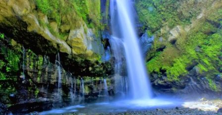 Air Terjun Kedung Kayangan, 1. Candi Borobudur, 2. Rafting di Sungai Progo Atas, 3. Alun-alun Kota Magelang, 4. Air Terjun Kedung Kayang, 5. Taman Kyai Langgeng, 6. Ketep Pass, 7. Air Terjun Sekar Langit, 8. Rumah Kamera, 9. Candi Mendut, 10. Candi Pawon, 11. Gunung Andong, 12. Candi Selogriyo, 13. Gunung Tidar, 14. Curug Grenjengan Kembar, 15. Punthuk Setumbu, 16. Trekking Gunung Merbabu, 17. Curug Silawe, 18. Pemandian Air Hangat Candi Umbul, 19. Taman Badaan, 20. Museum Sudirman, 21. Pinusan Kragilan Magelang, 22. Candi Canggal, 23. Candi Ngawen, 24. Candi Lumbung, 25. Pemandian Kali Bening, 26. Air Terjun Kedung Kayangan, 27. Gardu Pandang Babadan, 28. Arung Jeram Kali Elo, 29. Telaga Bleder, 30. Gardu Pandang Bukit Barede, 31. Gardu Pandang Dlimas, 32. Gardu Pandang Mangli, 33. Sukmojoyo Hill, 34. Hutan Pinus Grenden, 35. Gereja Ayam di Dusun Gombong, 36. Punthuk Setumbu, 37. Kedung Sembrani, 38. Gunung Telomoyo, 39. Silancur Highland, 40. Bukit Grenden, 41. Curug Sigetik, 42. Puntuk Mangir Gunung Payung, 43. Bukit Rhema, 44. Hutan Pinus Wisata Mangli, 45. Jurang Jero, 46. OHD Museum, 47. Gunung Giyanti, 48. Curug Watu Ploso, 49. Klenteng Liong Hok Bio, 50. Curug Gleyor, 51. Punthuk Mongkrong, 52. Bukit Sleker, 53. Curug Lawang Kori, 54. Bukit kertojoyo, 55. Taman Ramadanu, 56. Puncak Seoloyo, 57. Taman Wisata Kopeng, 58. Bukit Gancik Selo Boyolali, 59. Gunung Sumbing, 60. Punthuk Kendil, 61. Bukit Harapan Cuntel, 62. Kebun Durian Candimulyo, 63. Jembatan Gantung Mangunsuko, 64. Air Terjun Goa Slandak, 65. Air Terjun Sumuran, 67. Museum Kapal Samudraraksa, 68. Karesidenan Kedu, 69. New Selo, 70. Taman Dewari, 71. Desa Wisata Candirejo, 72. Svargabumi Borobudur, 73. Awang-awang Telomoyo, 74. Ladon Little Island, 75. Candi Retno, 76. Wisata Petik Salak Gapoktan Ngudi Luhur, 77. Pesona Cempurung, 78. Gardu Pandang Cepogo, 79. Taman Garempong Bringin Kulon, 80. Sendang Mudal, 81. Curug Dlimas, 82. Museum Diponegoro, 83. Curug Sikencling, 84. Sendang Maren, 85. Citraelo Rafting, 86. Desa Wisata Ngawen, 87. Wisata Kulon Ndeso, 88. Taman Bunga Matahari, 89. Taman Hanya Untukmu, 90. Junkyard Autopark & Cafe, 91. Balkondes Ngadiharjo, 92. Banyuroto, 93. Bukit Dagi, 94. Jembatan Gantung Srowol, 95. Candi Asu, 96. Persawahan Permitan, 97. Bakorwil II Magelang, 98. Kebun Bibit Senopati