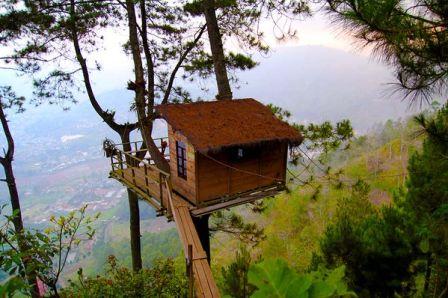 Gardu Pandang Wisata Kalibiru Kulonprogo, Desa dan Hutan Wisata Kalibiru Jogja, Lokasi Objek Wisata Alam Kalibiru Jogja, Rute Menuju Wisata Alam Kalibiru Jogja, Harga Tiket Masuk Kalibiru Jogja, Fasilitas Objek Wisata Alam Kalibiru Jogja, Kuliner Lezat di Objek Wisata Kalibiru Jogja, Foto Aktivitas Seru di Kalibiru Jogja, Akomodasi di Sekitar Kalibiru Jogja, Hubungi Pengelola