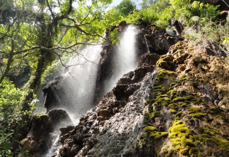 Goa Tetes, 1. Pemandian Alam Selokambang, 2. Liburan ke Pantai Bambang Lumajang, 3. Wisata Sejara ke Candi Mandara Giri Lumajang, 4. Tempat Wisata Alam Goa Tetes Lumajang, 5. Liburan Seru ke Gunung Semeru Lumajang, 6. Kawasan Wonorejo Terpadu (KWT) Lumajang, 7. Liburan Seru ke Pantai Watu Godeg Lumajang, 8. Tempat Wisata Alam Danau Ranu Kumbolo Lumajang, 9. Tempat Wisata Pantai Dampar Lumajang, 10. Berwisata ke Pantai Watu Pecak Lumajang, 11. Tempat Liburan Keluarga Pantai Tlepuk Lumajang, 12. Tempat Wisata Seru Gunung Lemongan Lumajang, 13. Wisata Air Terjun Manggisan Lumajang, 14. Puncak B-29, 15. Wisata Kebun Teh Kertowono Gucialit Lumajang, 16. Wisata Sejarah Situs Biting, 17. Tubing Adventure Kali Betoto, 18. Air Terjun Coban Sewu, 19. Ranu Regulo, 20. Ranu Pane, 21. Ranu Bedali, 22. Ranu Pakis, 23. Danau Klakah, 24. Wisata Air Terjun Coban Pawon Lumajang, 25. Wisata Hutan Bambu Lumajang, 26. Air Terjun Kapas Biru, 27. Ranu Lading, 28. Kolam Renang Veteran, 29. Agrowisata Lumajang, 30. Objek Wisata Goa Bima di Lumajang, 31. Wisata Air Terjun Watu Lapis Lumajang, 32. Wisata Pantai Wotgalih Lumajang, 33. Agrowisata Bunga Lumajang, 34. Museum Daerah Lumajang, 35. Gunung Sawur, 36. Gunung Wayang, 37. Coban Sriti (Antrukan Wolu), 38. Coban Kabut Pelangi, 39. Wisata Bukit Cinta Mahameru, 40. Oro Oro Ombo, 41. Air Terjun Gucialit (Semingkir), 42. Tempat Wisata Air Terjun Carang Kuning, 43. Air Terjun Antrukan Trap Seribu, 44. Air Terjun Kedung Kuwung, 45. Tirtosari View, 46. Air Terjun Antrukan Menjangan, 47. Air Terjun Antrukan Jago Lumajang, 48. Kebun Kertonowo, 49. Hutan Pinus Penanggal, 50. Grati Park, 51. Puncak Gunung Wayang, 52. Alun-alun Lumajang