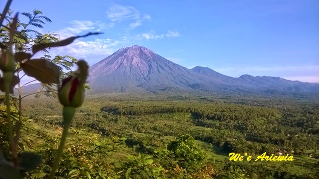 Gunung Sawur, 1. Pemandian Alam Selokambang, 2. Liburan ke Pantai Bambang Lumajang, 3. Wisata Sejara ke Candi Mandara Giri Lumajang, 4. Tempat Wisata Alam Goa Tetes Lumajang, 5. Liburan Seru ke Gunung Semeru Lumajang, 6. Kawasan Wonorejo Terpadu (KWT) Lumajang, 7. Liburan Seru ke Pantai Watu Godeg Lumajang, 8. Tempat Wisata Alam Danau Ranu Kumbolo Lumajang, 9. Tempat Wisata Pantai Dampar Lumajang, 10. Berwisata ke Pantai Watu Pecak Lumajang, 11. Tempat Liburan Keluarga Pantai Tlepuk Lumajang, 12. Tempat Wisata Seru Gunung Lemongan Lumajang, 13. Wisata Air Terjun Manggisan Lumajang, 14. Puncak B-29, 15. Wisata Kebun Teh Kertowono Gucialit Lumajang, 16. Wisata Sejarah Situs Biting, 17. Tubing Adventure Kali Betoto, 18. Air Terjun Coban Sewu, 19. Ranu Regulo, 20. Ranu Pane, 21. Ranu Bedali, 22. Ranu Pakis, 23. Danau Klakah, 24. Wisata Air Terjun Coban Pawon Lumajang, 25. Wisata Hutan Bambu Lumajang, 26. Air Terjun Kapas Biru, 27. Ranu Lading, 28. Kolam Renang Veteran, 29. Agrowisata Lumajang, 30. Objek Wisata Goa Bima di Lumajang, 31. Wisata Air Terjun Watu Lapis Lumajang, 32. Wisata Pantai Wotgalih Lumajang, 33. Agrowisata Bunga Lumajang, 34. Museum Daerah Lumajang, 35. Gunung Sawur, 36. Gunung Wayang, 37. Coban Sriti (Antrukan Wolu), 38. Coban Kabut Pelangi, 39. Wisata Bukit Cinta Mahameru, 40. Oro Oro Ombo, 41. Air Terjun Gucialit (Semingkir), 42. Tempat Wisata Air Terjun Carang Kuning, 43. Air Terjun Antrukan Trap Seribu, 44. Air Terjun Kedung Kuwung, 45. Tirtosari View, 46. Air Terjun Antrukan Menjangan, 47. Air Terjun Antrukan Jago Lumajang, 48. Kebun Kertonowo, 49. Hutan Pinus Penanggal, 50. Grati Park, 51. Puncak Gunung Wayang, 52. Alun-alun Lumajang